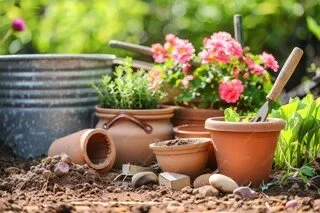 Your Garden In a Box    Monthly Subscription