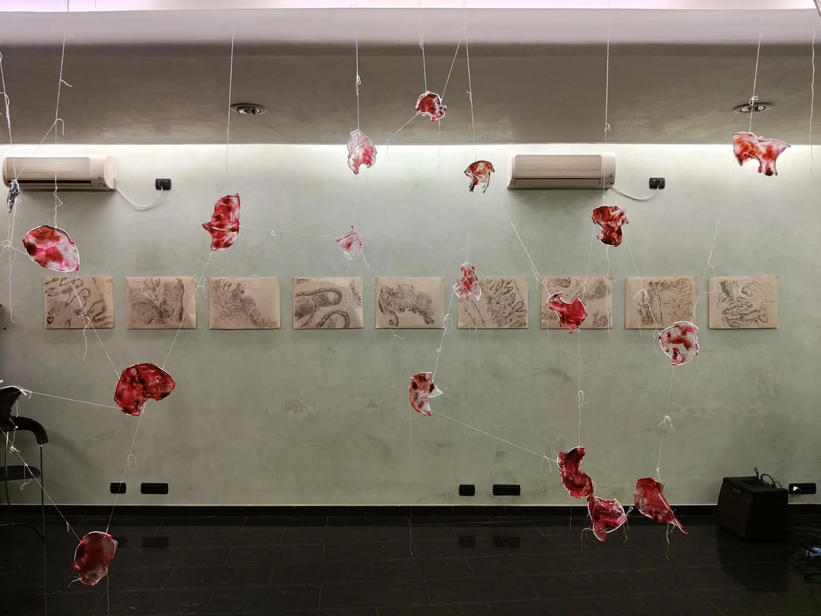 Installazione artistica composta da pezzi di carne sospesi con fili, disposte in modo su un soffitto e un muro con immagini di seppia di strutture anatomiche.