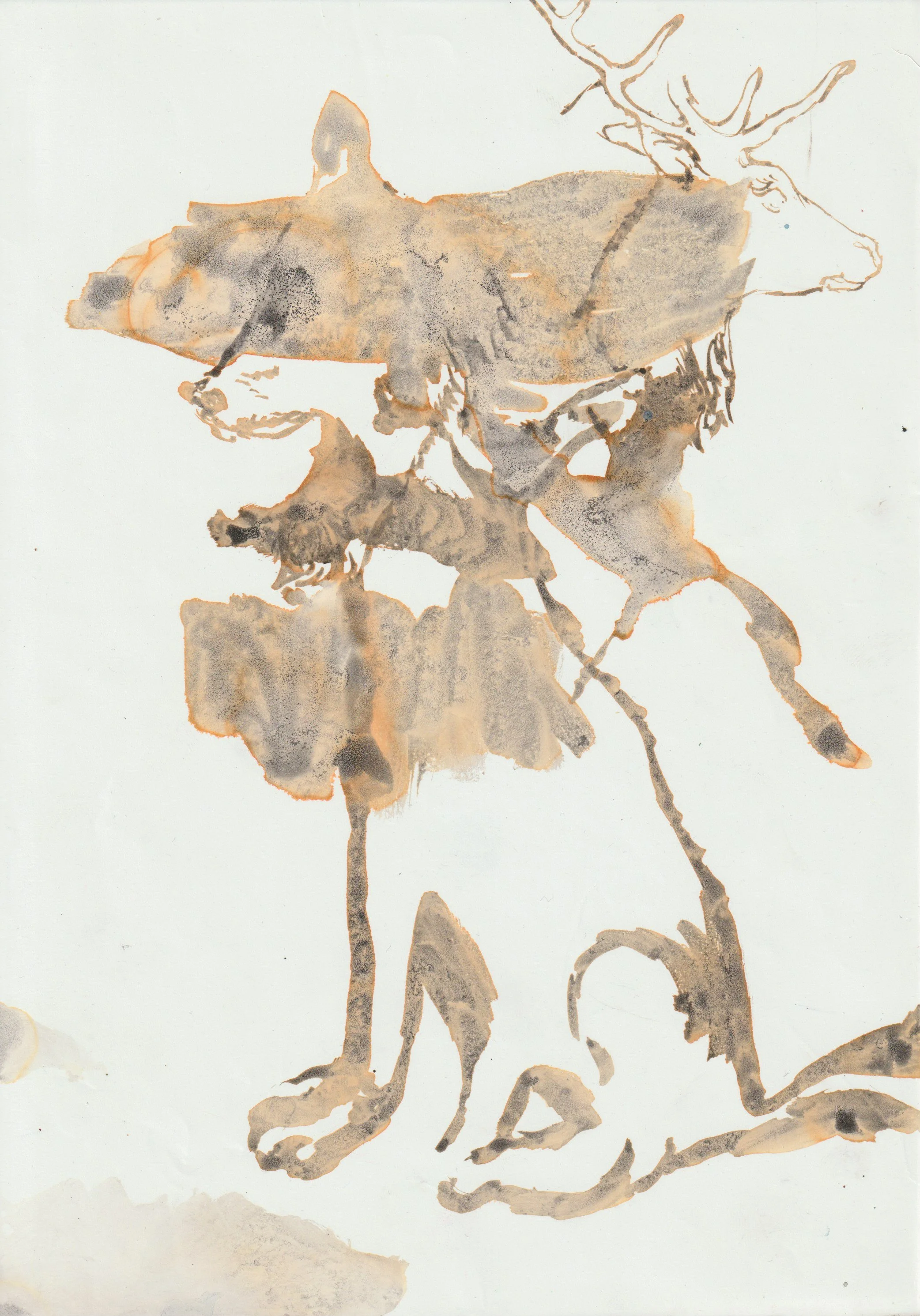 Schizzo di un cervo con le corna, realizzato con tecniche di acquerello e linee sottili