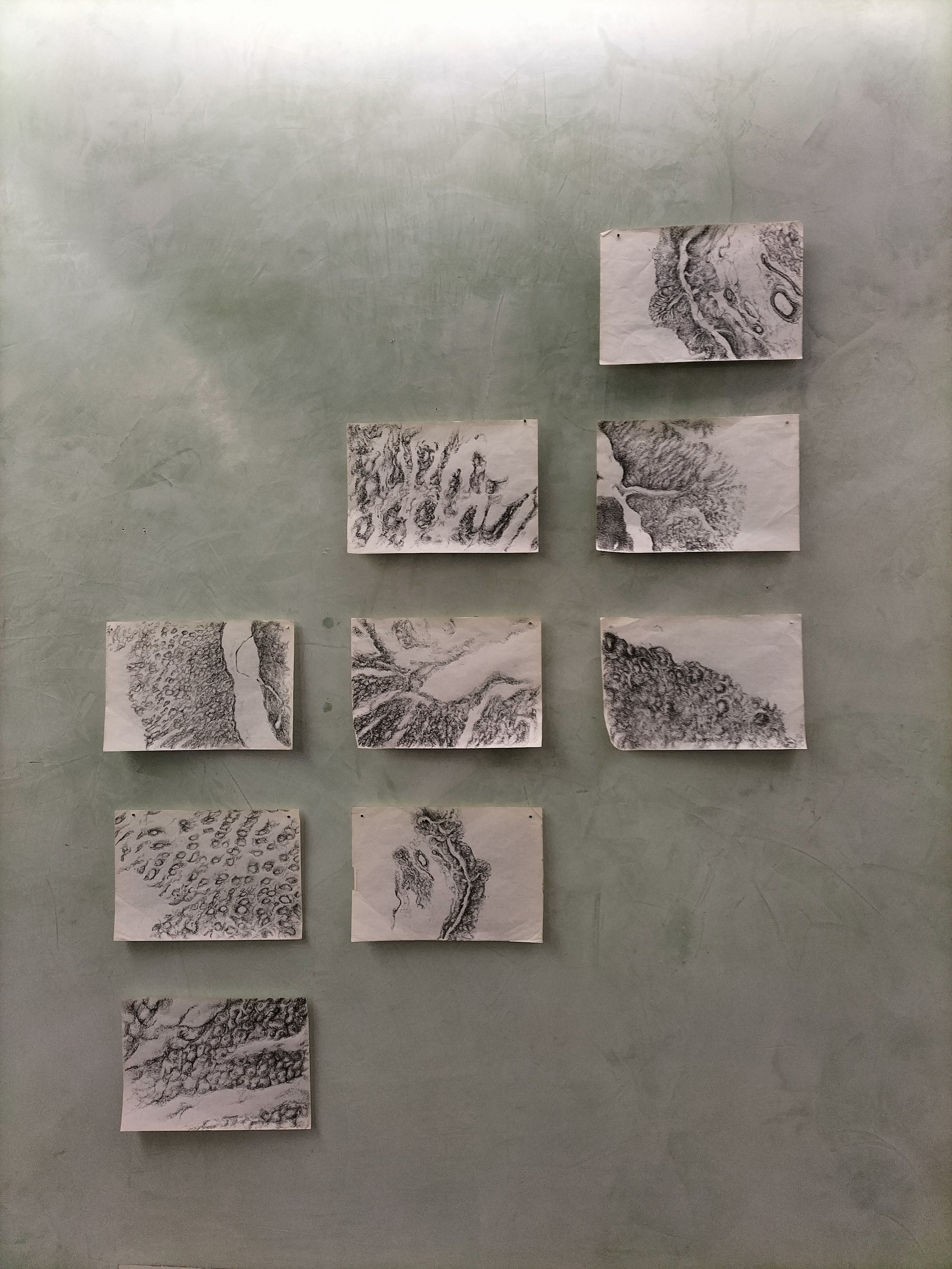 Diverse disegni in bianco e nero incollati su una parete verde, raffiguranti paesaggi e motivi astratti.