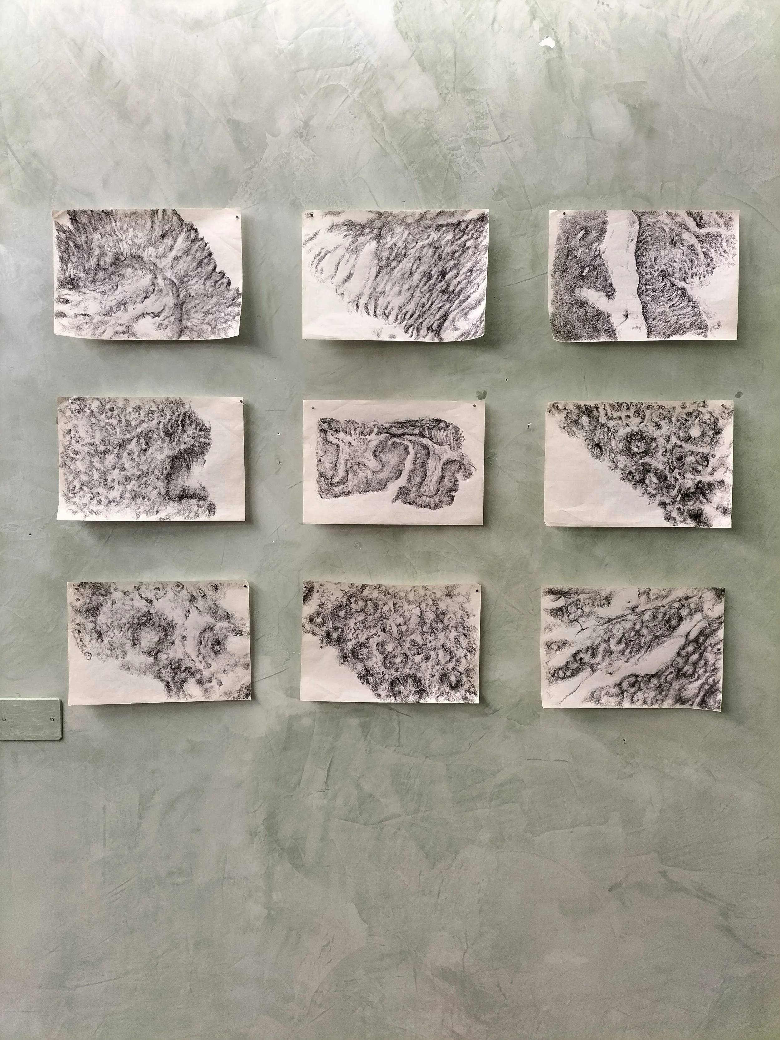 Nove schizzi a matita con varie texture e forme astratte appesi a una parete