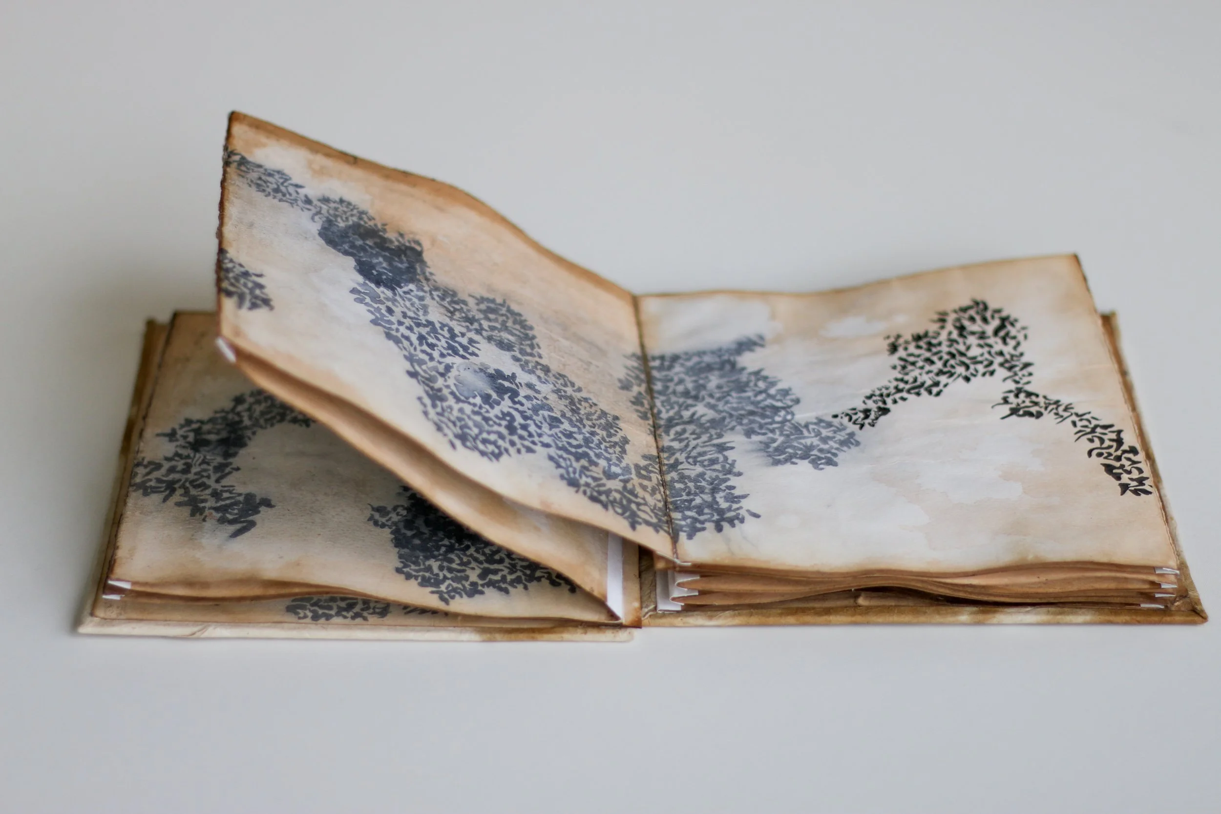 Libro aperto con pagine che presentano motivi di alberi stilizzati di colore nero su uno sfondo che sembra acqua e un cielo azzurro.