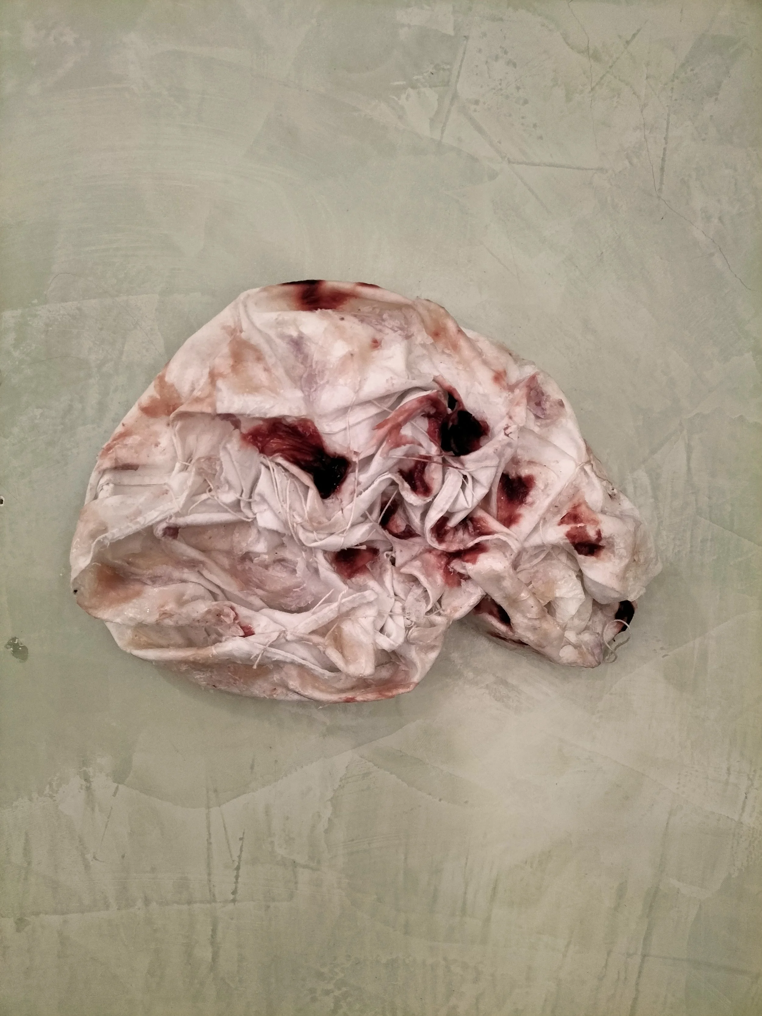 Un sacchetto di plastica con sangue e residui organici sulla superficie.