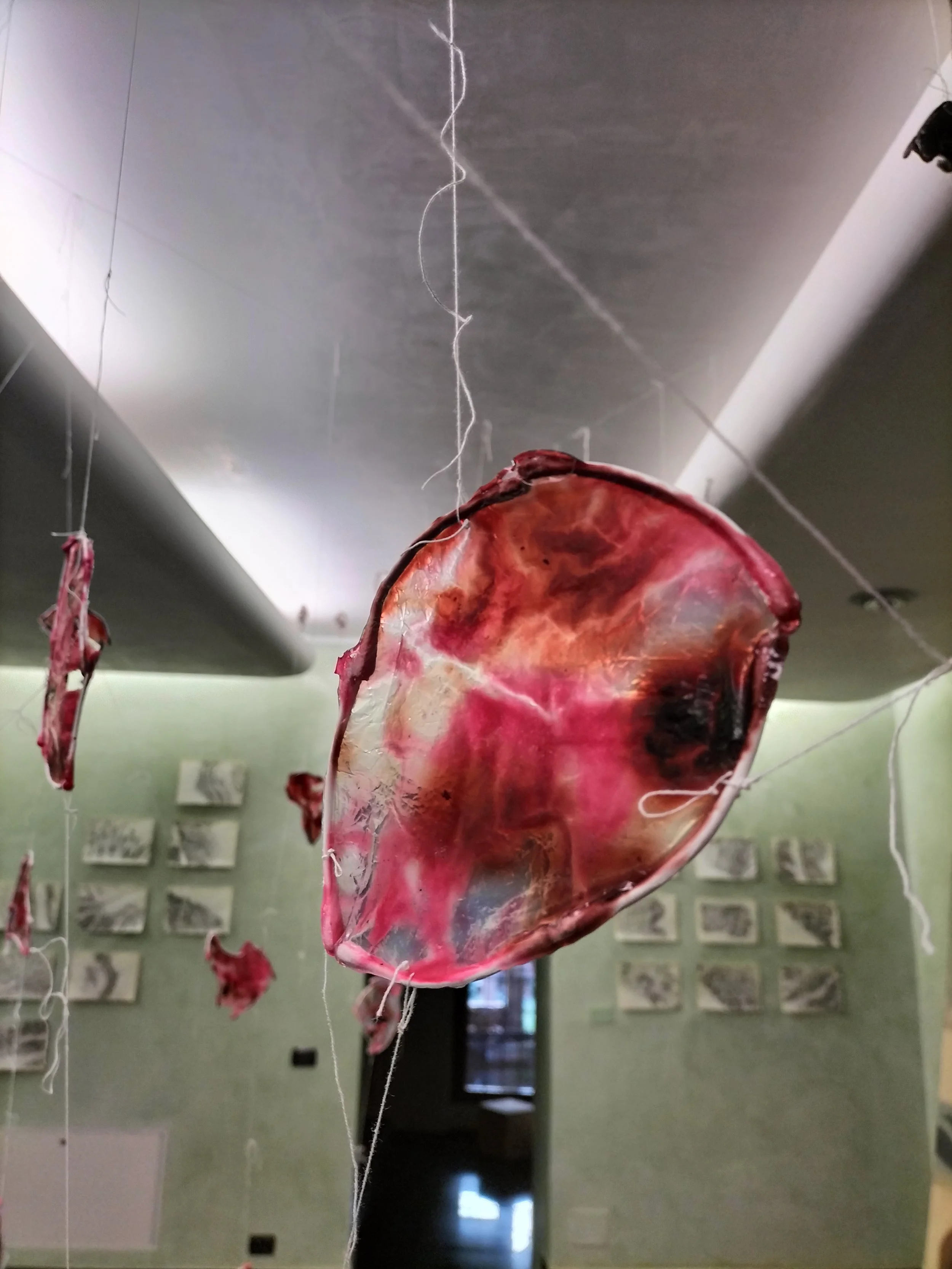 Cattura di un'opera d'arte con pezzi di plastica colorata appesi a fili in un museo o galleria, con pareti verdi e fotografie o dipinti sul muro.