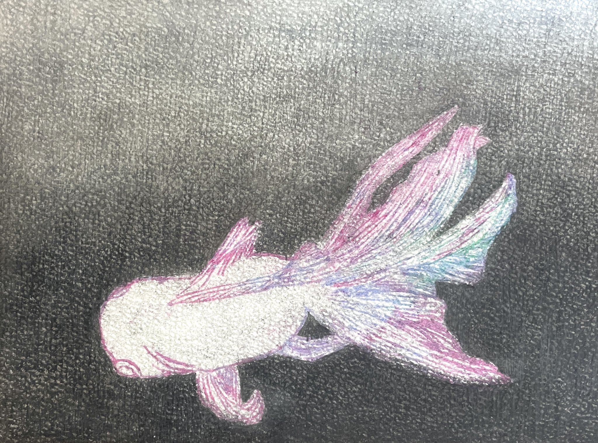 Disegno di un pesce rosa e blu su sfondo nero.