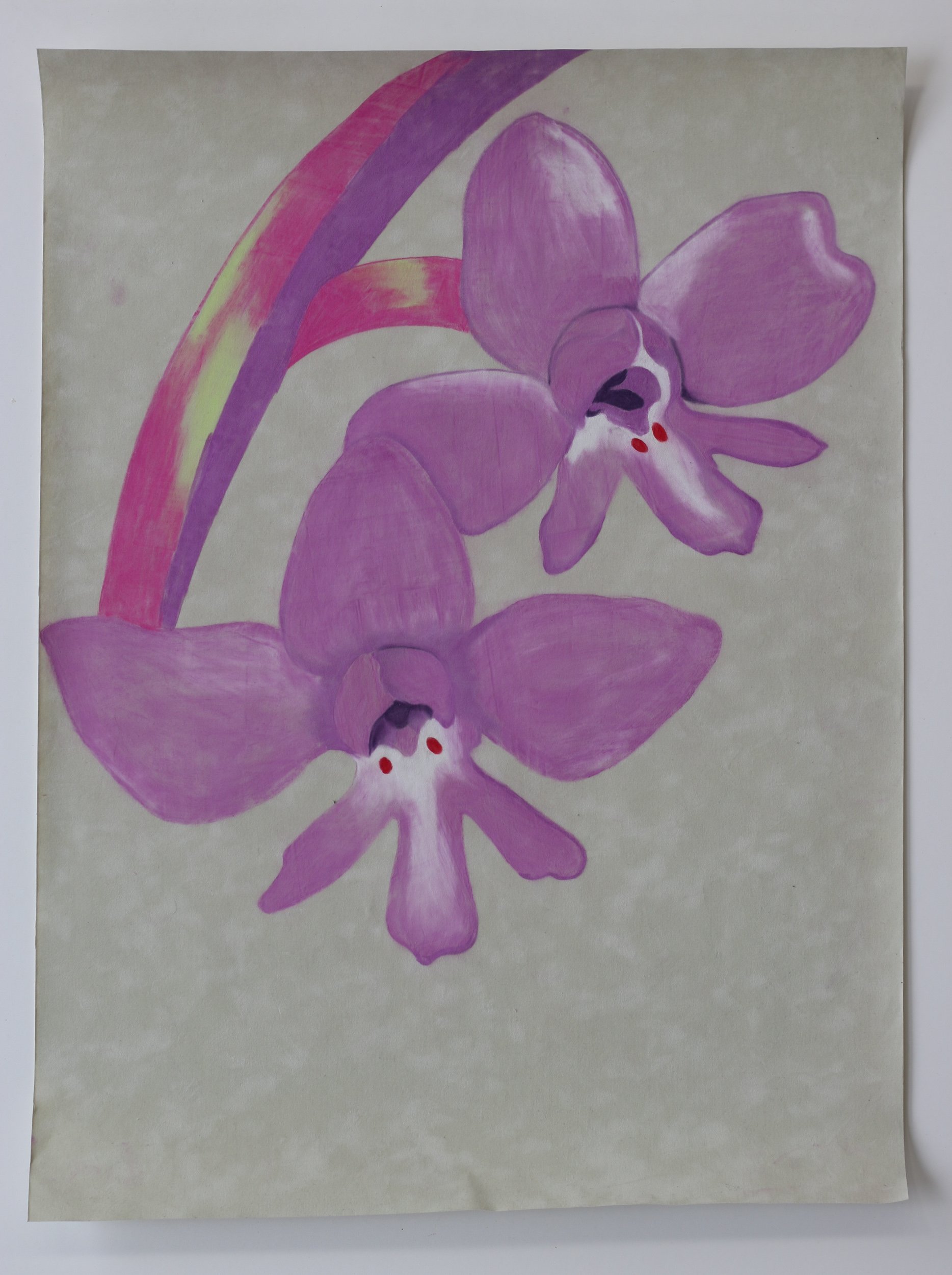 Dipinto di due orchidee rosa con fiorellini bianchi e un arcobaleno rosa e viola sullo sfondo.