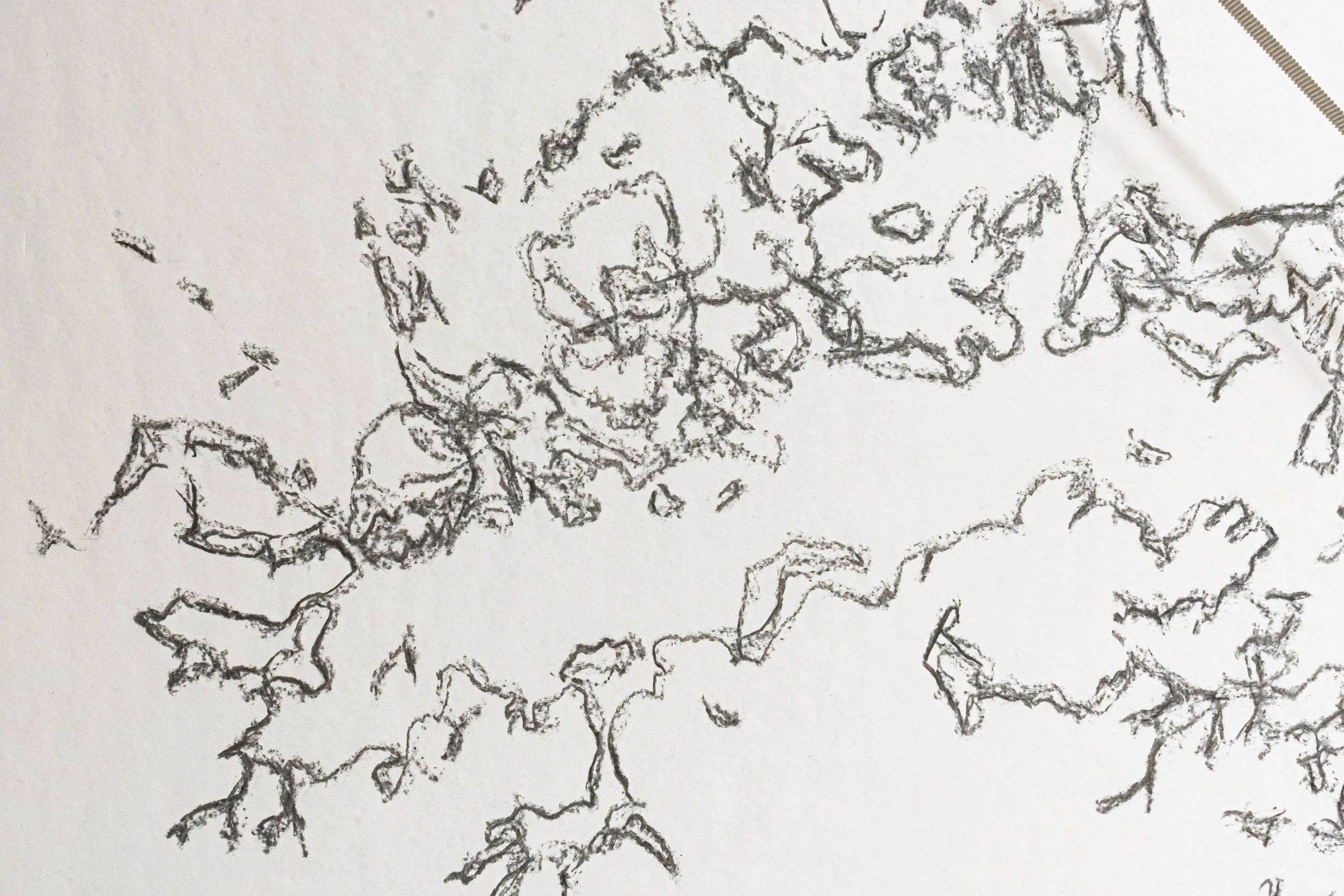 Disegno a matita di linee astratte su uno sfondo bianco.