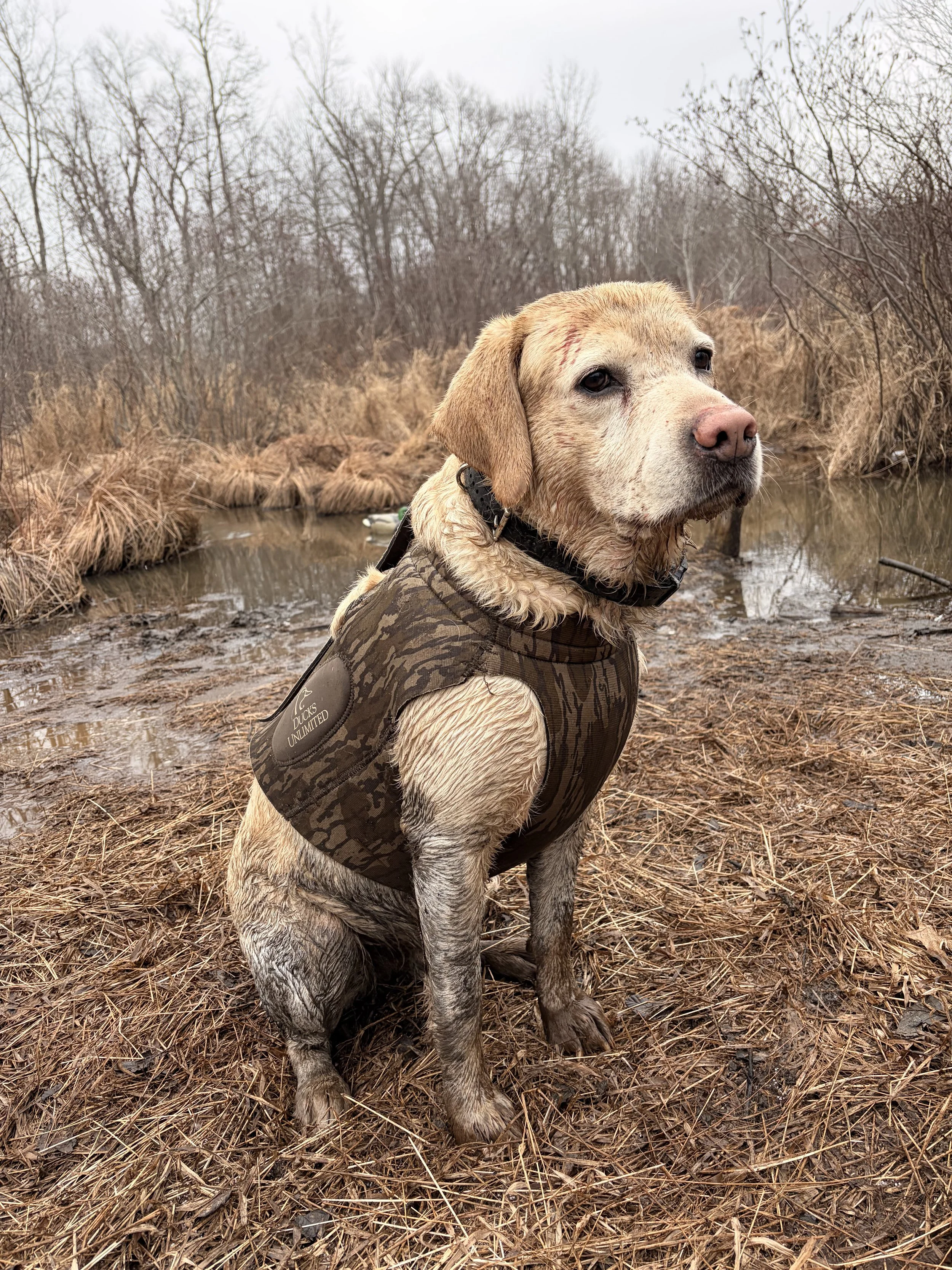 Morning Duck Hunt 3 to 4 People