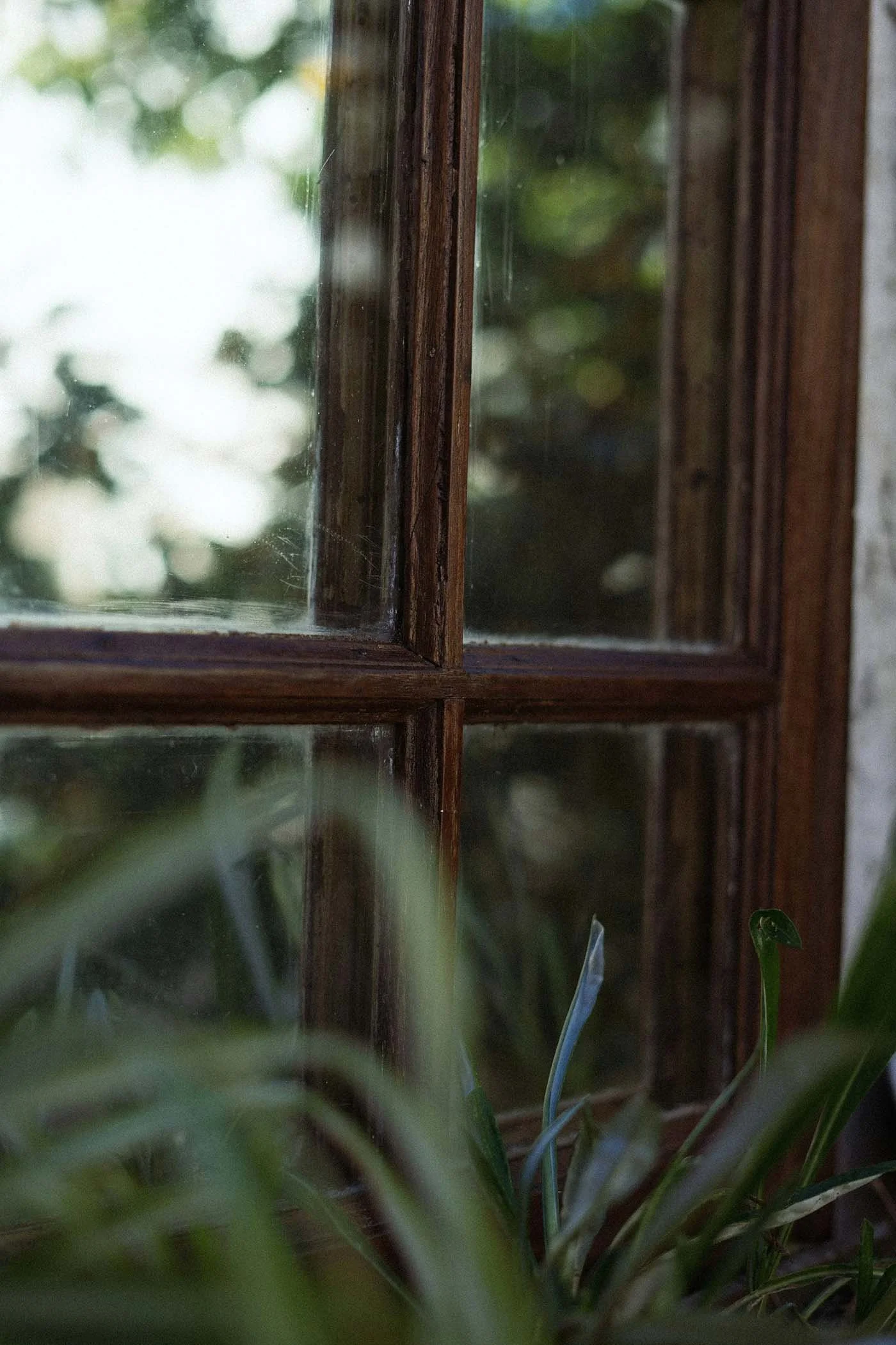 Wood-framed window with soft natural light and greenery.
