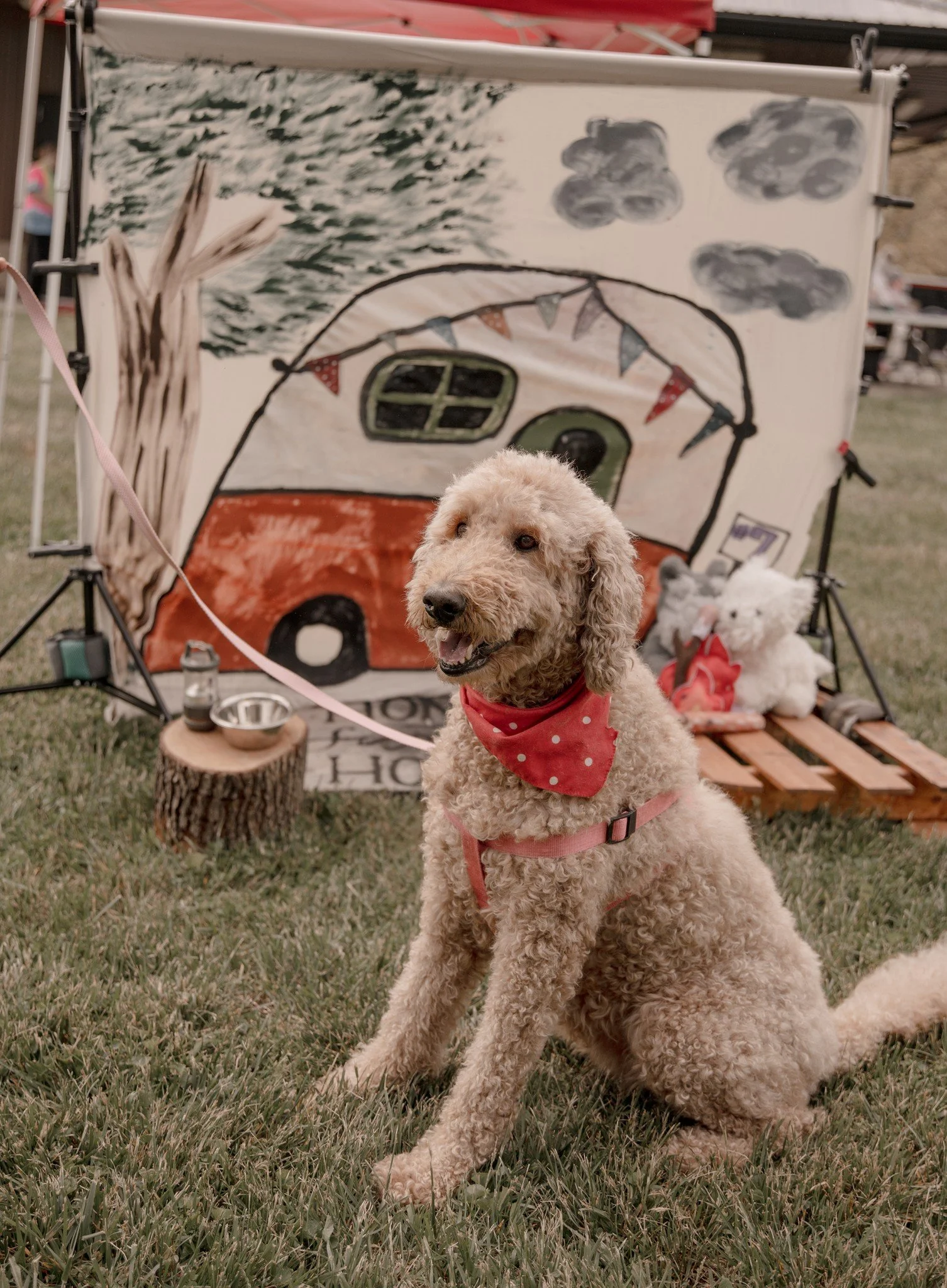 493273330_1311248490483853_6309951282360815904_n (2025_04_29 23_14_29 UTC).jpg