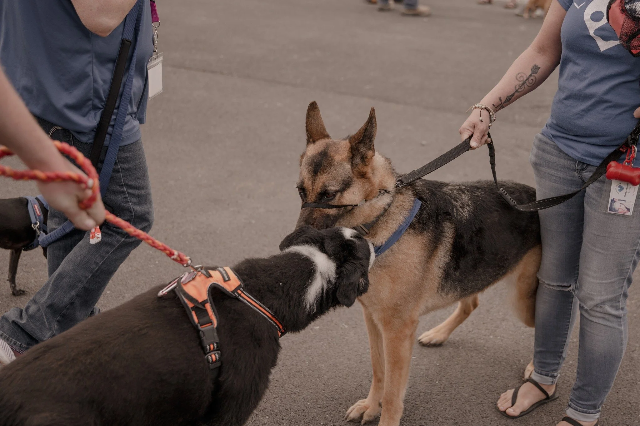 490397597_1311249220483780_1963110524404759151_n (2025_04_29 23_14_29 UTC).jpg