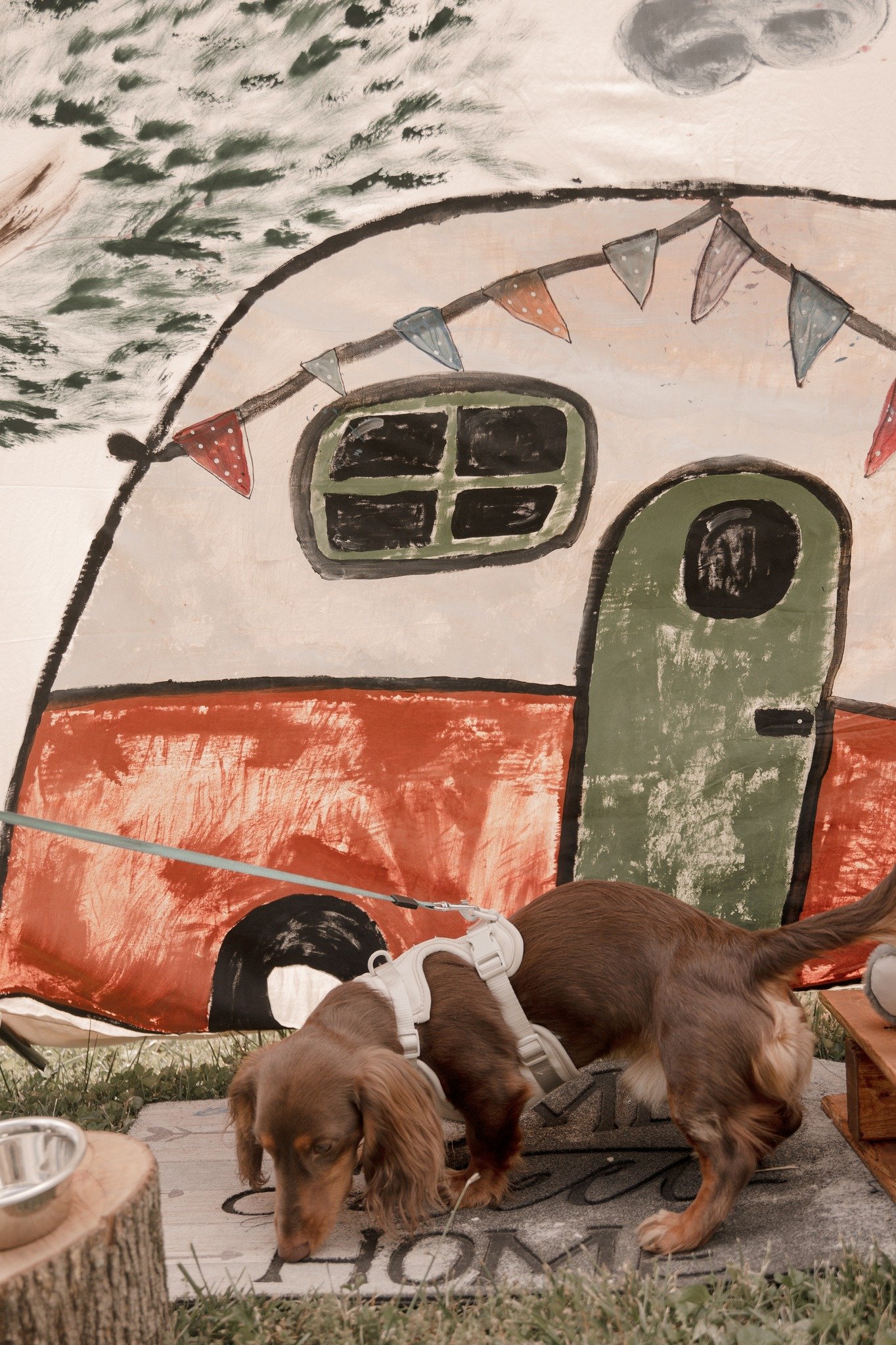 493274702_1311248913817144_2624973491286400994_n (2025_04_29 23_14_29 UTC).jpg