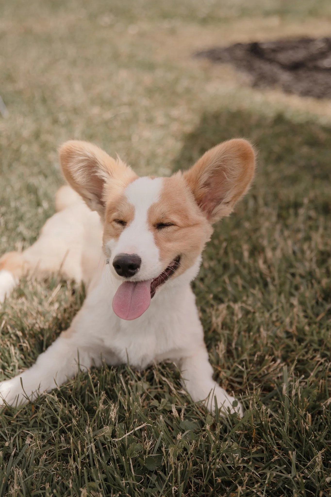 493273845_1311248770483825_5993534579181763781_n (2025_04_29 23_14_29 UTC).jpg