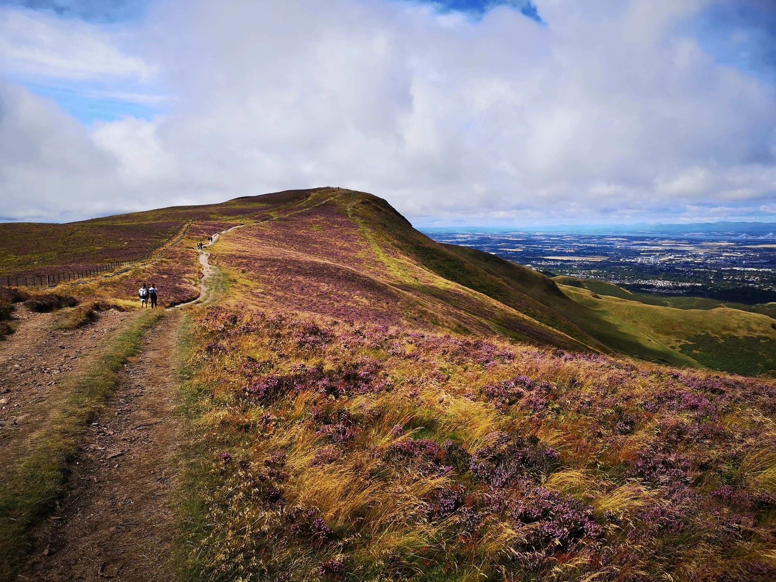 A scenic landscape of a hill covered in purple wildflowers with a path winding up to the top, and a few people walking along the trail. In the distance, there is a view of Edinburgh under a partly cloudy sky.