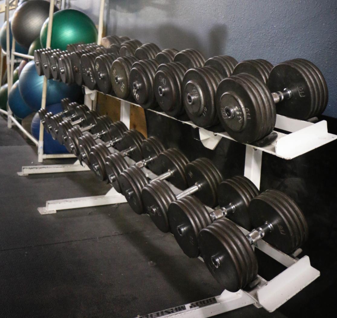 Set of black dumbbells on a white rack in a gym with exercise balls in the background.