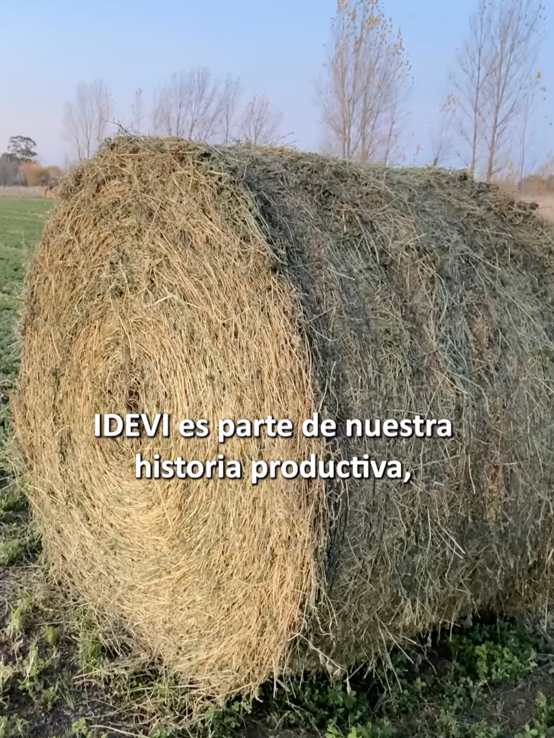 Idevi es historia, presente y futuro.