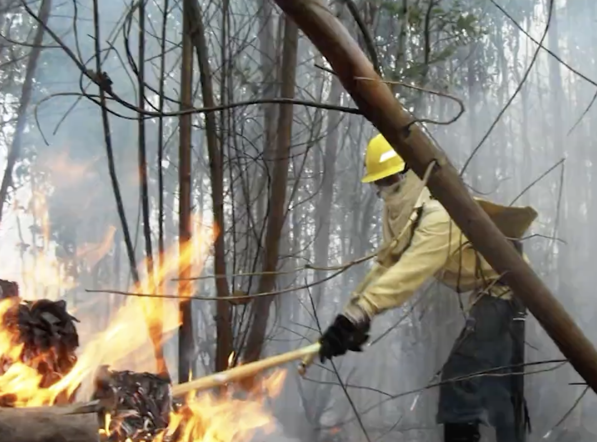 Screenshot 2026-03-11 at 13.01.46.png