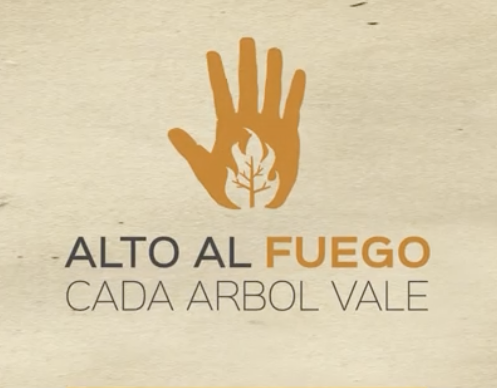 Screenshot 2026-03-11 at 12.59.42.png