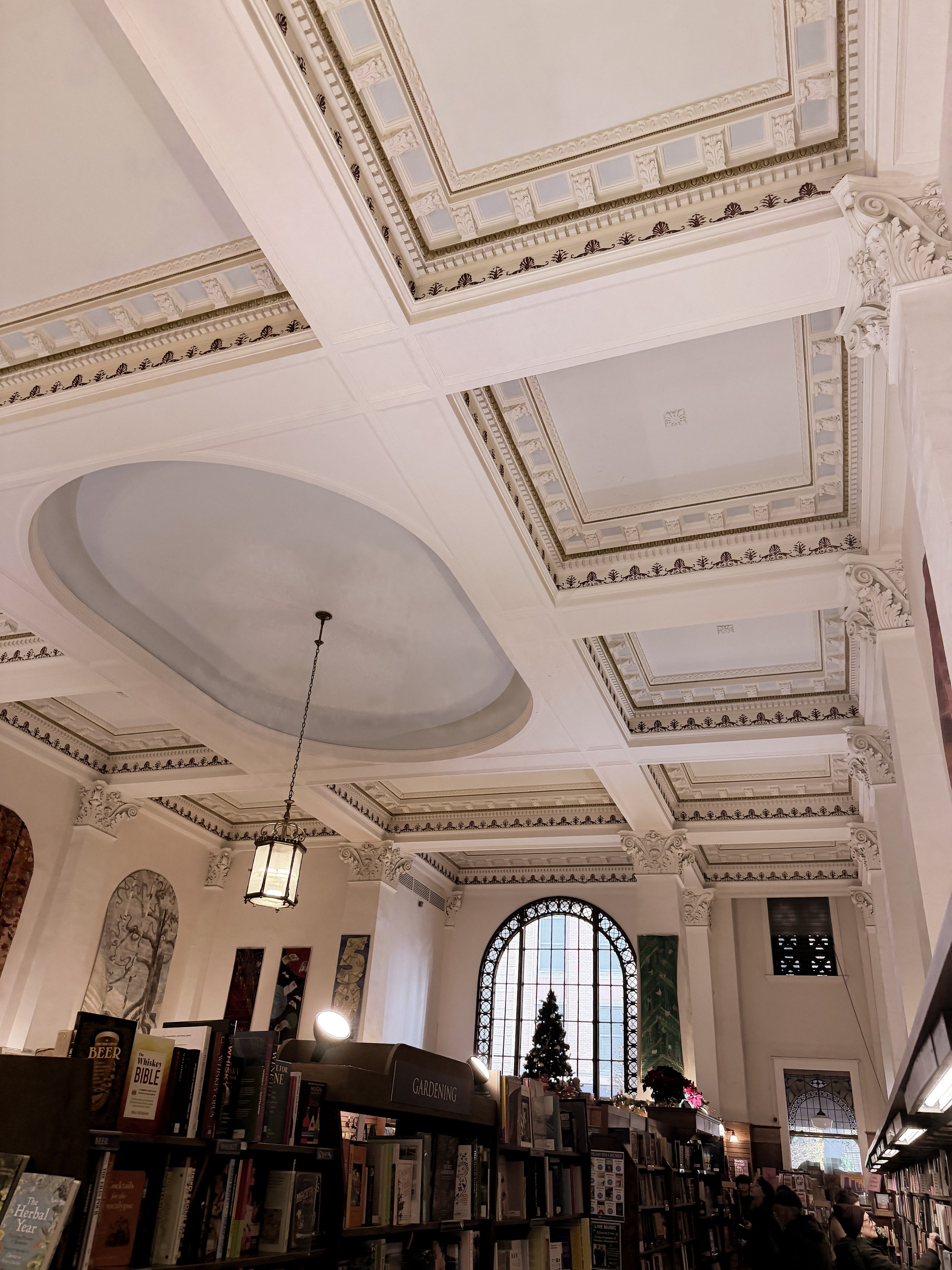 Interior of a library with ornate ceiling details, a large arched window, and bookshelves, with a small decorated Christmas tree in front of the window.