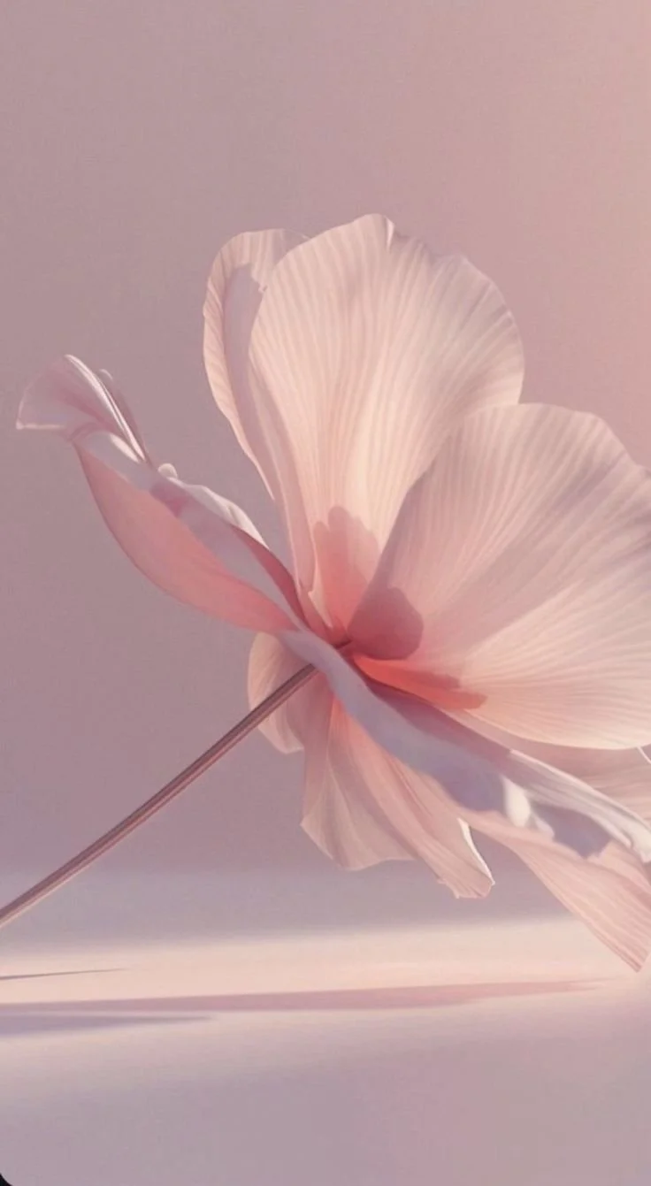 Close-up of a light pink flower with delicate, layered petals against a soft background.
