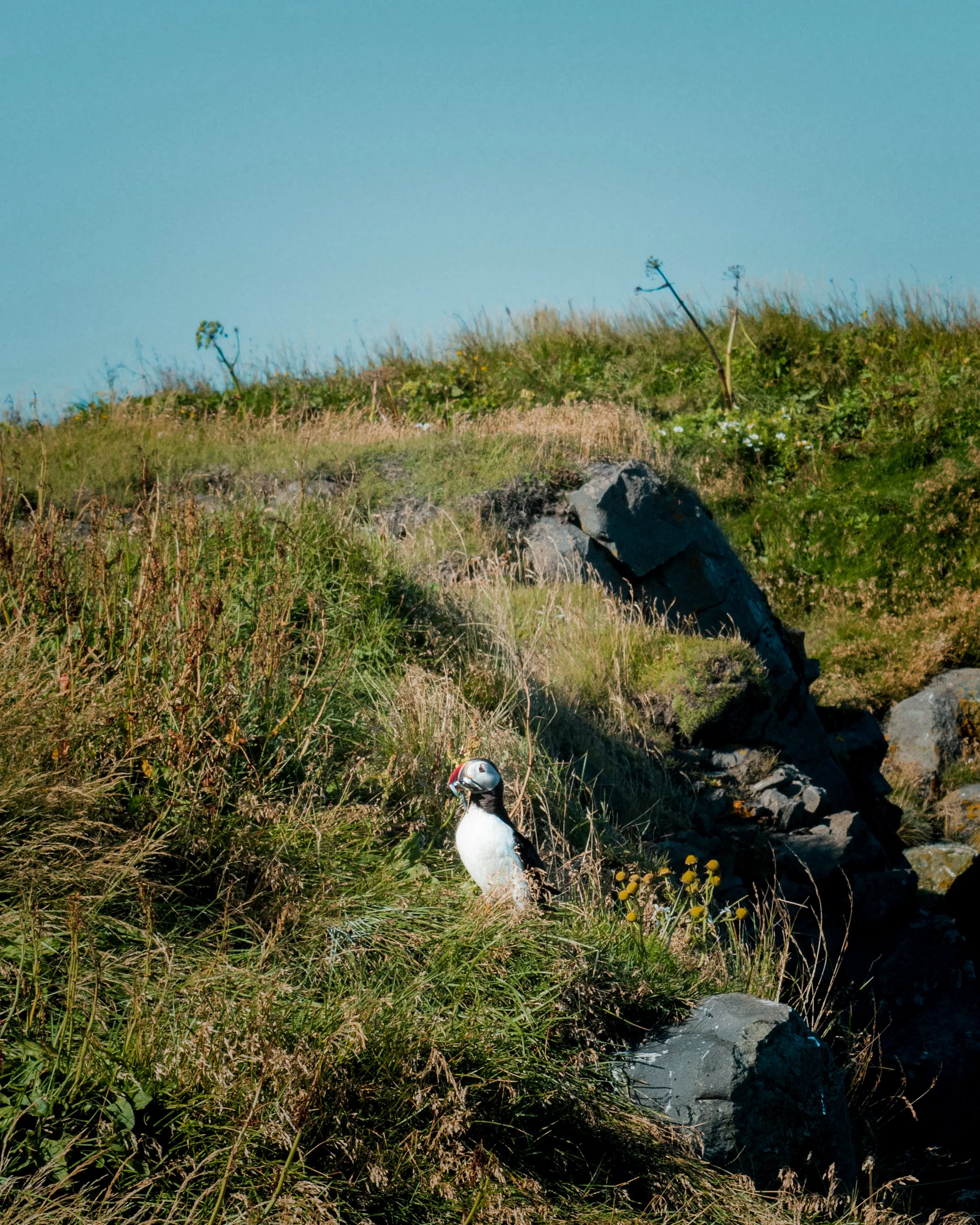 DSC_0326.jpg