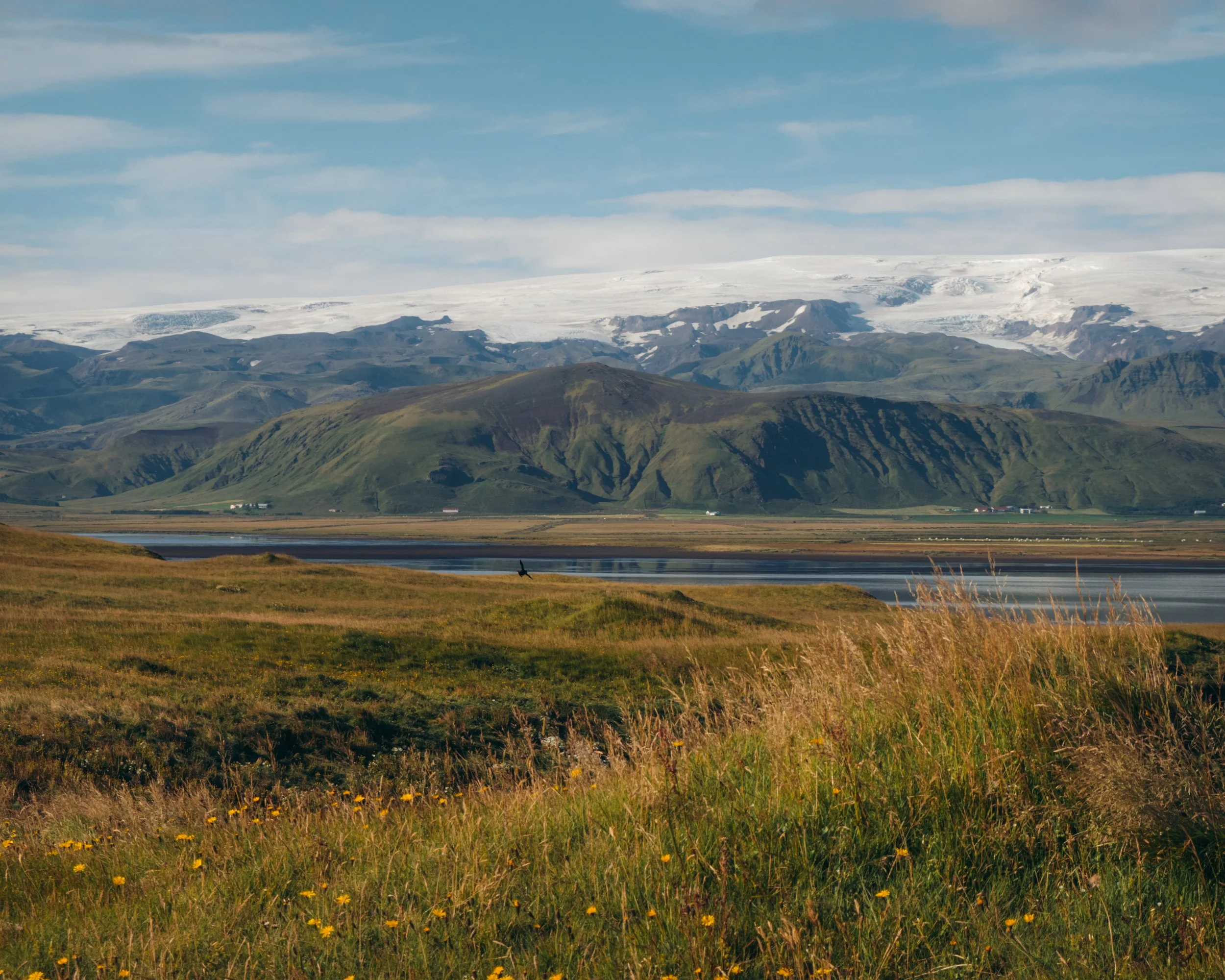 DSC_0278.jpg
