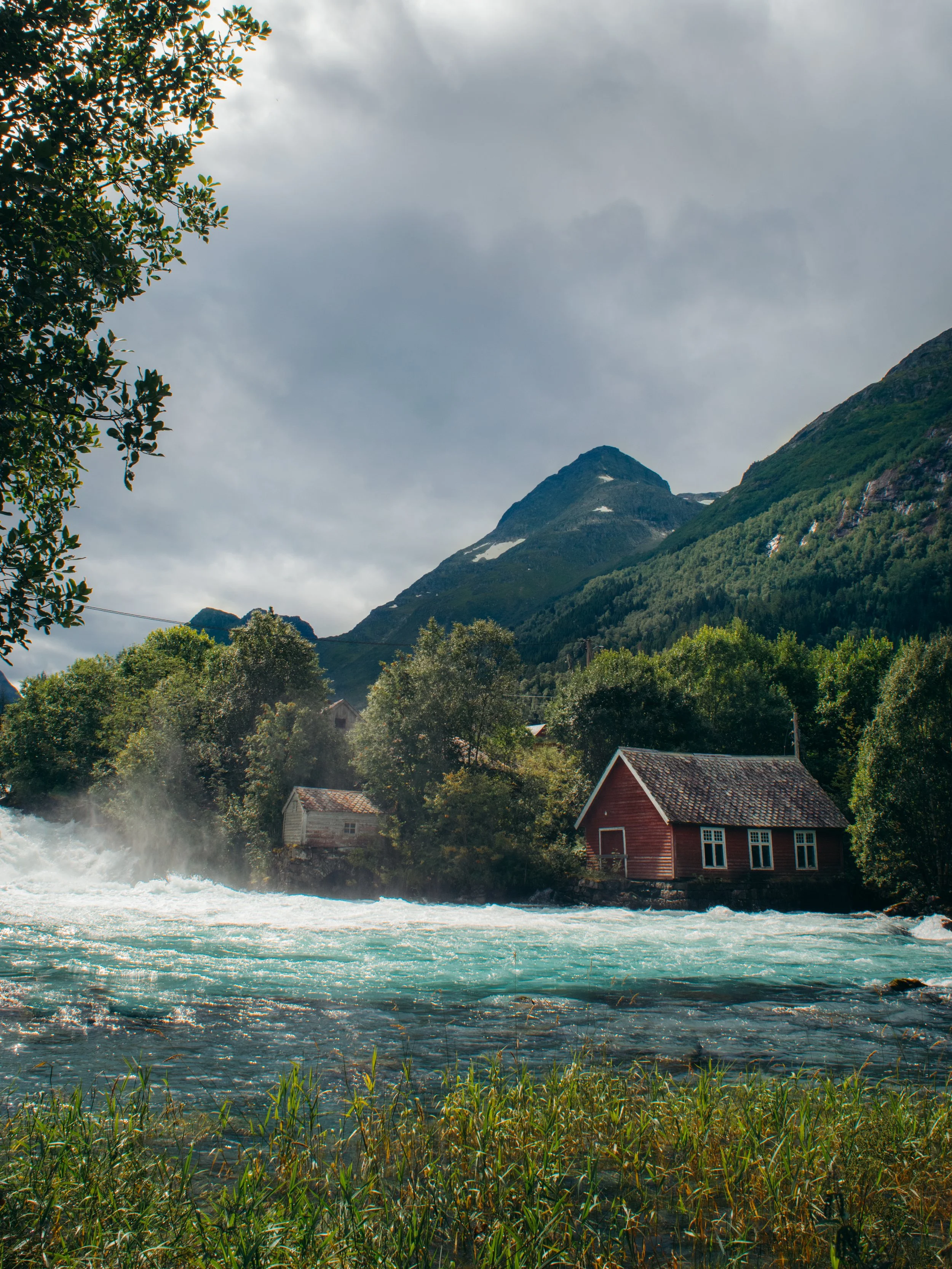 DSC_0903-2.jpg