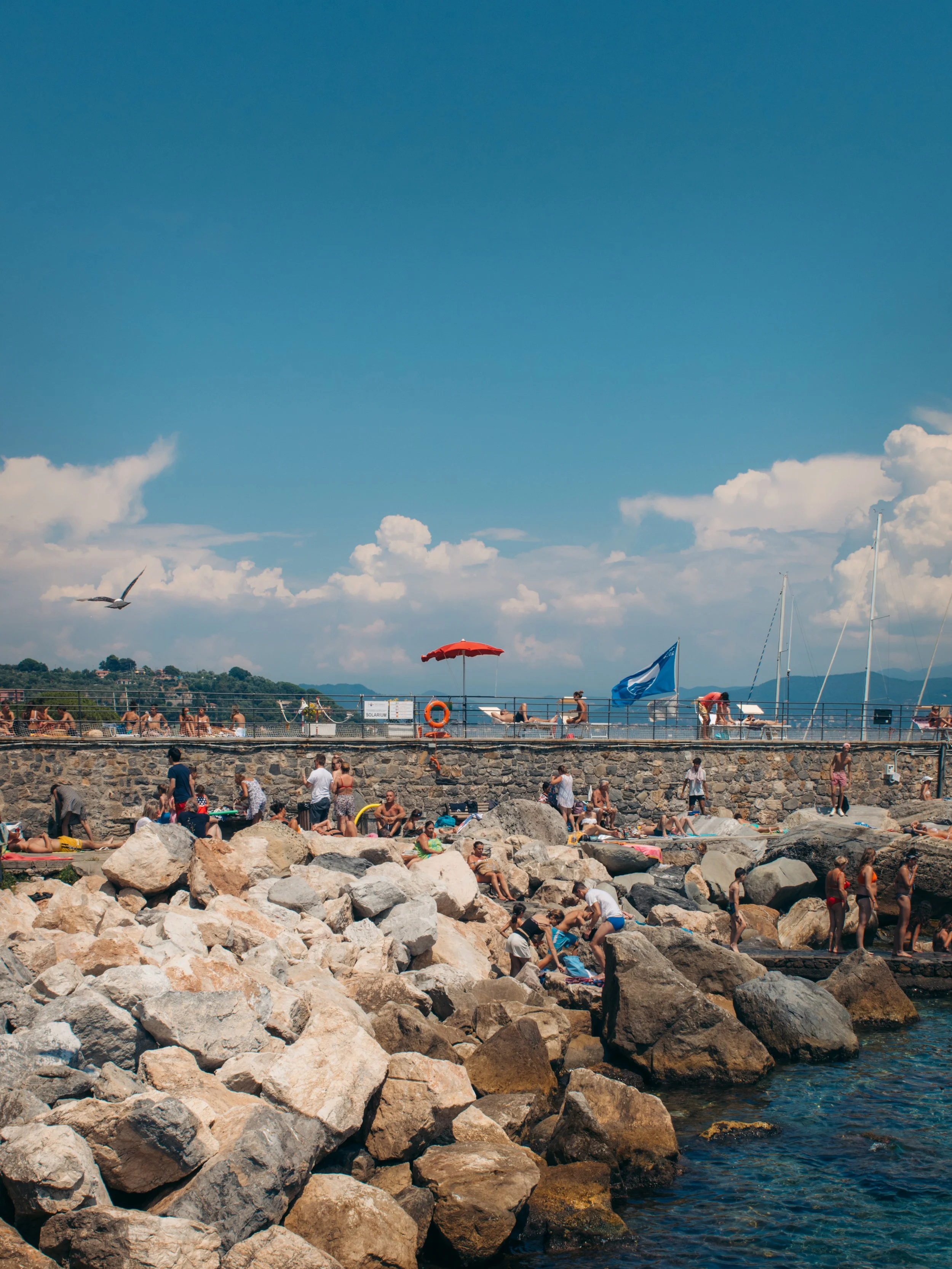 DSC_0092-4.jpg