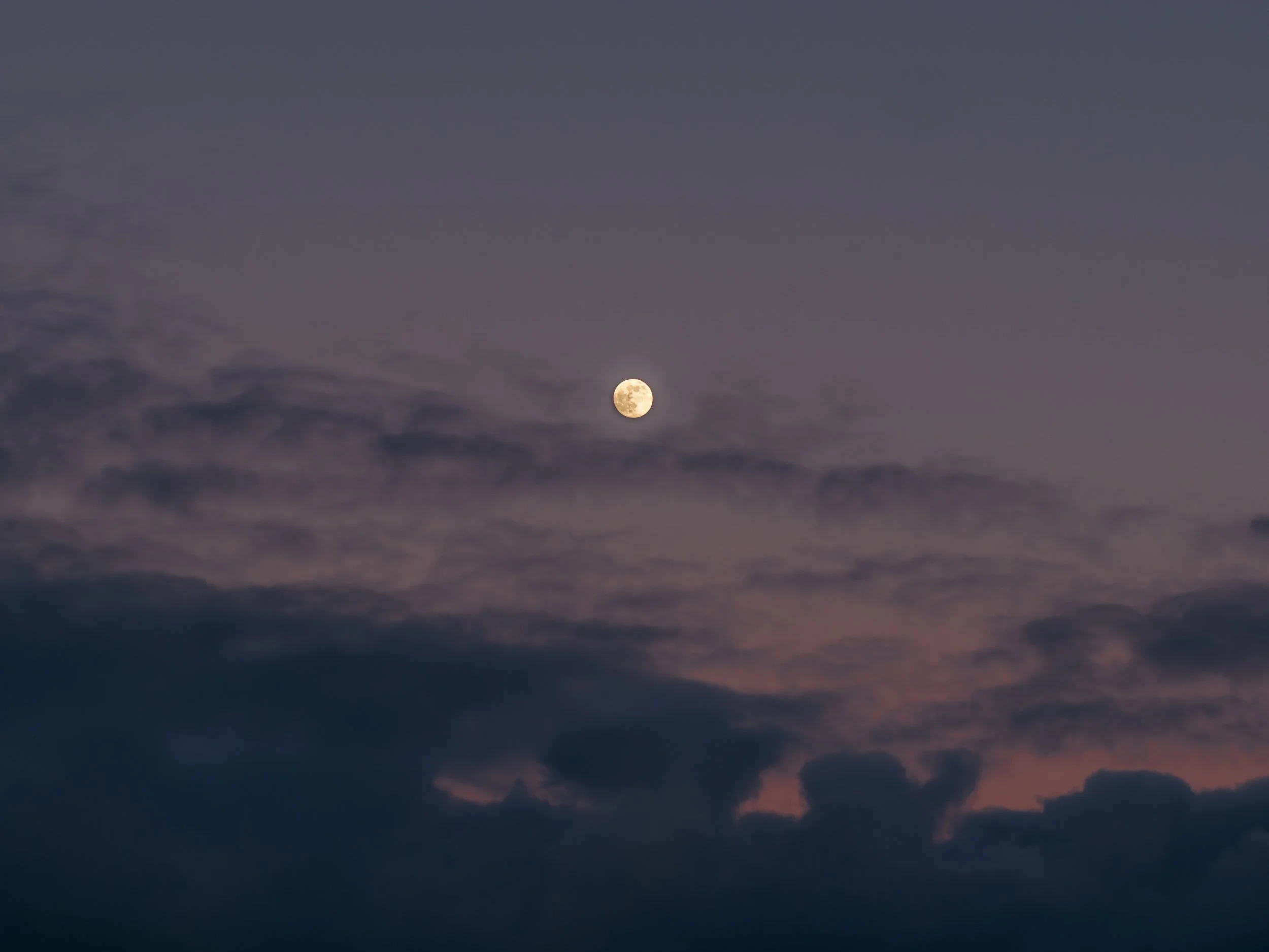 DSC_0173 2-3.jpg
