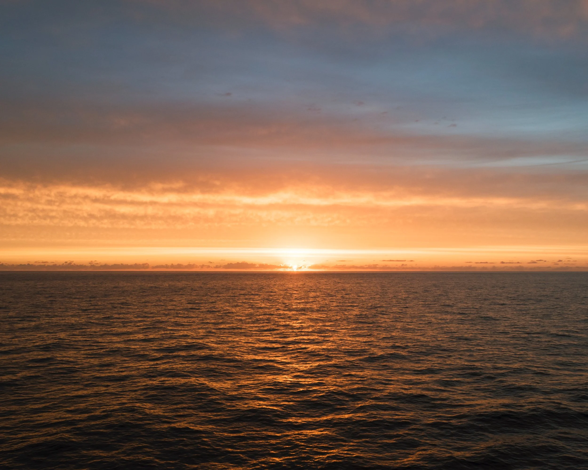 DSC_0845-2.jpg