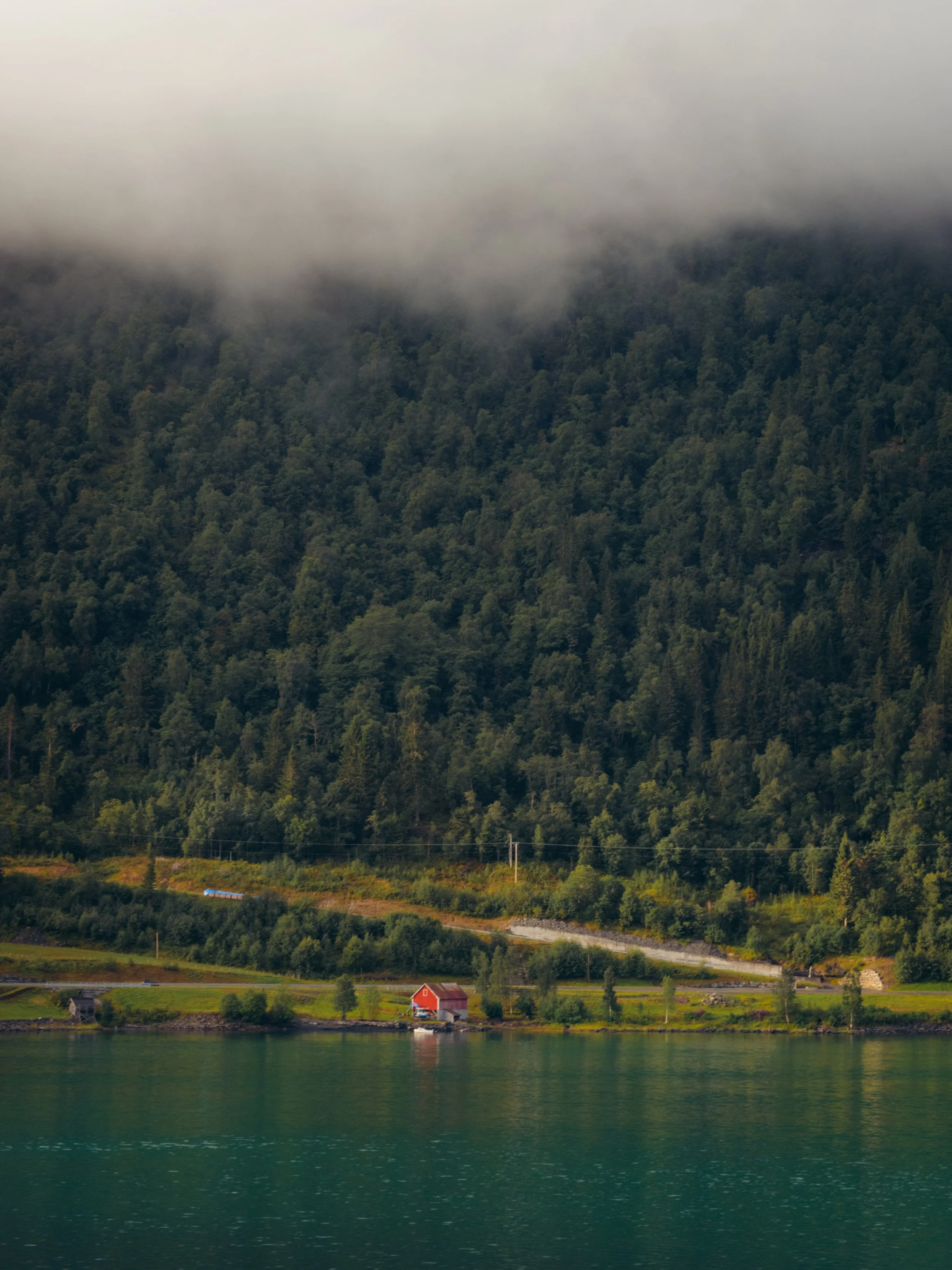 DSC_0223-6.jpg