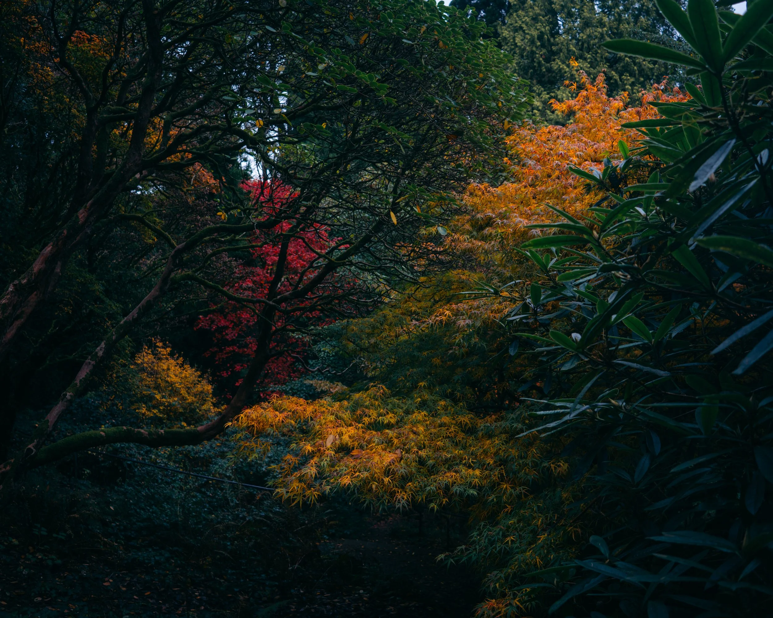 DSC04170-2.jpg