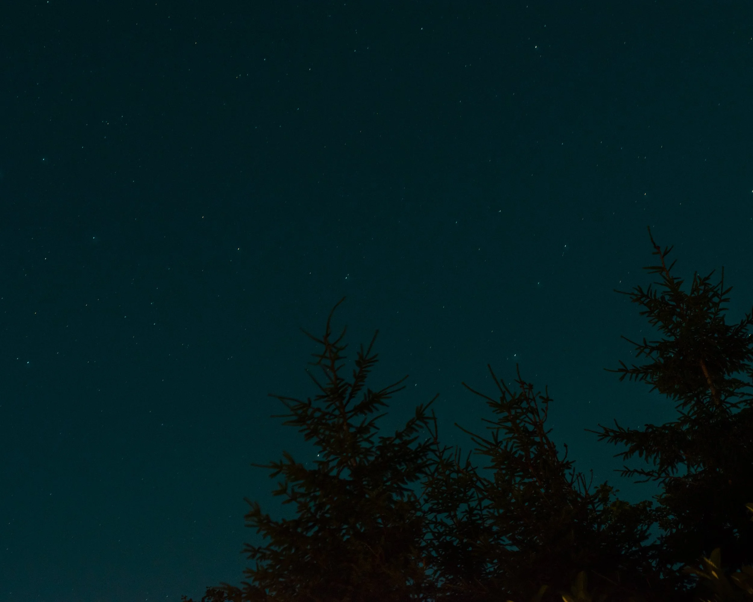 DSC_0454.jpg