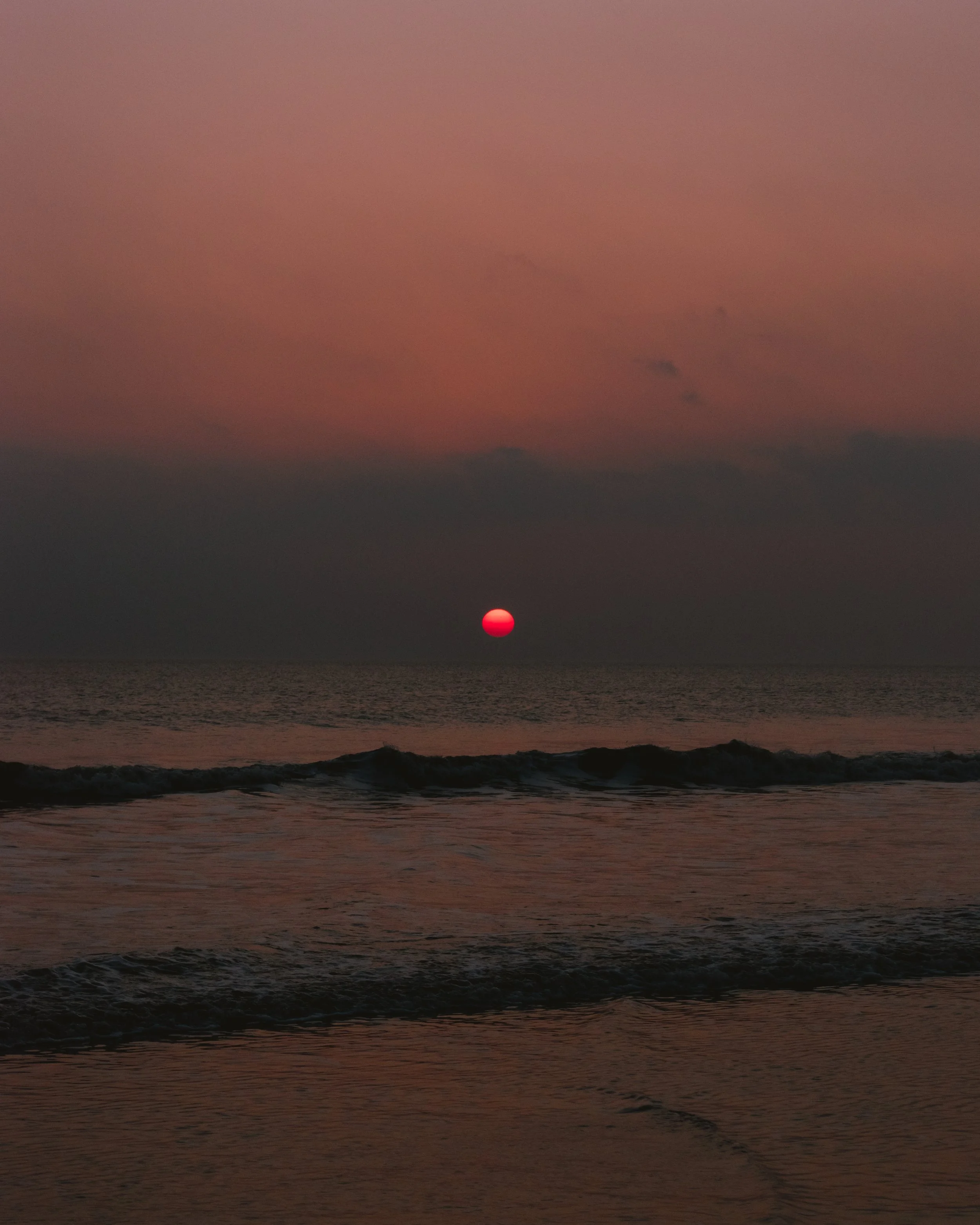 DSC_0504-2.jpg