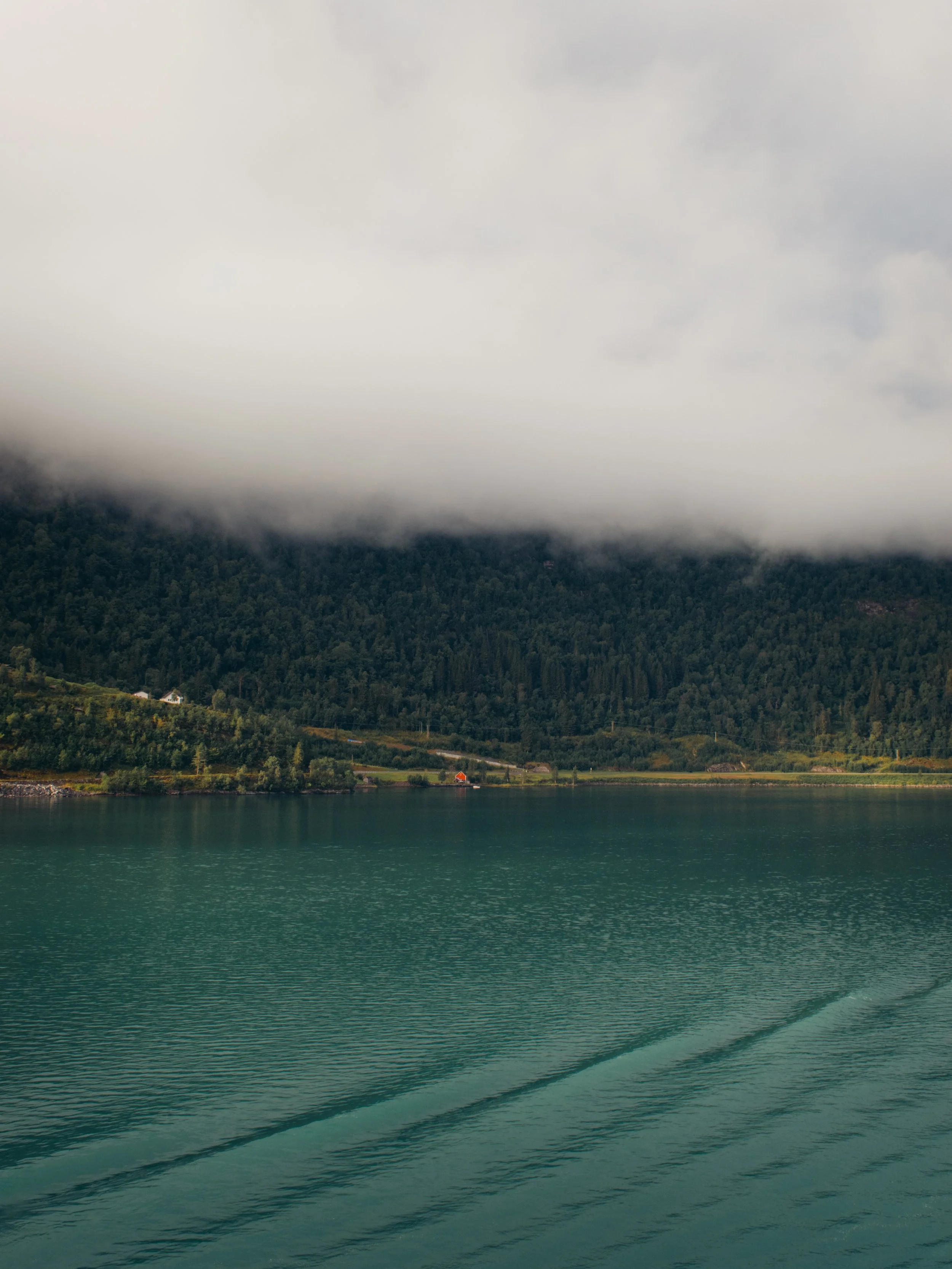 DSC_0235-5.jpg