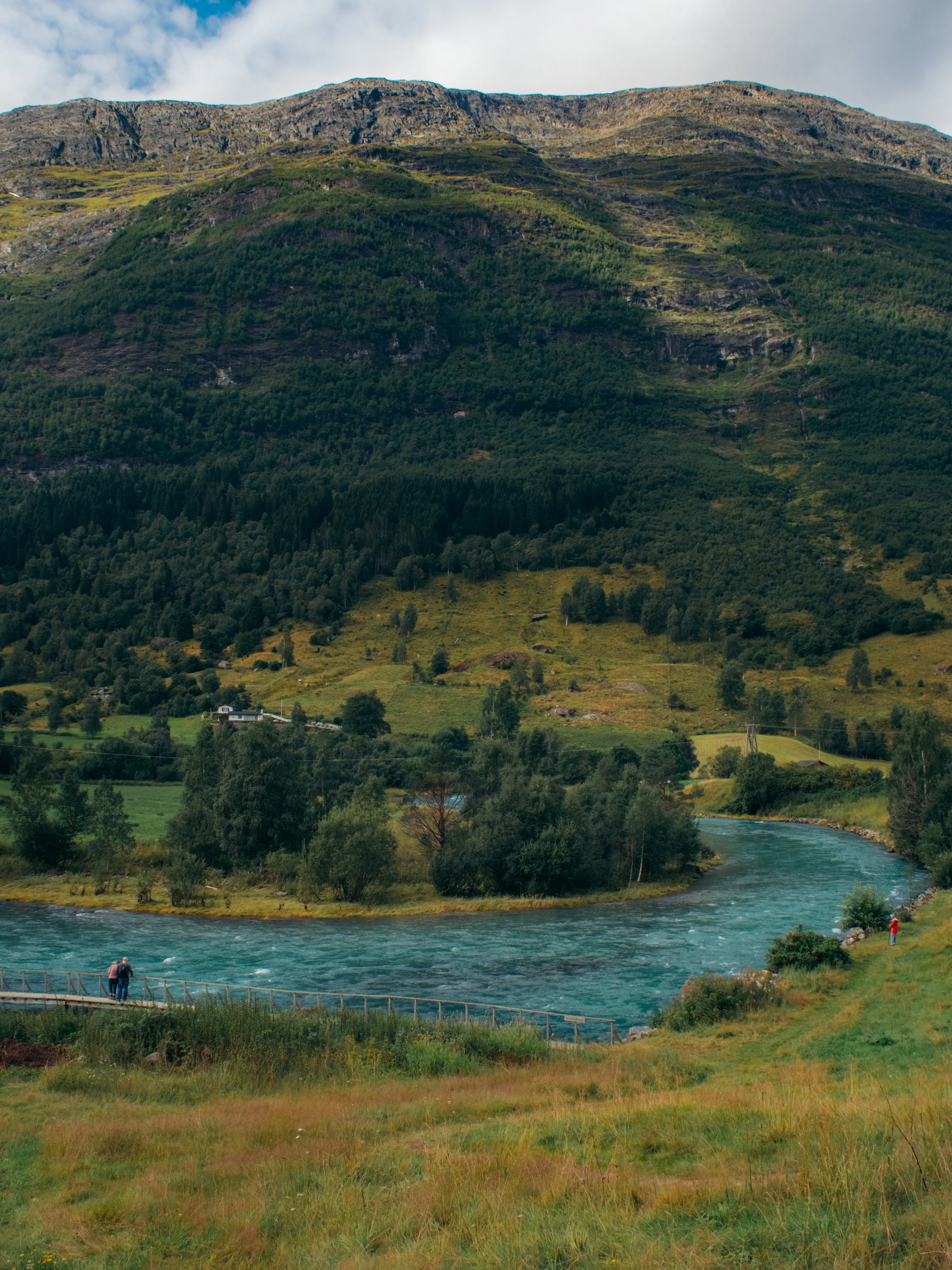 DSC_0701-6.jpg
