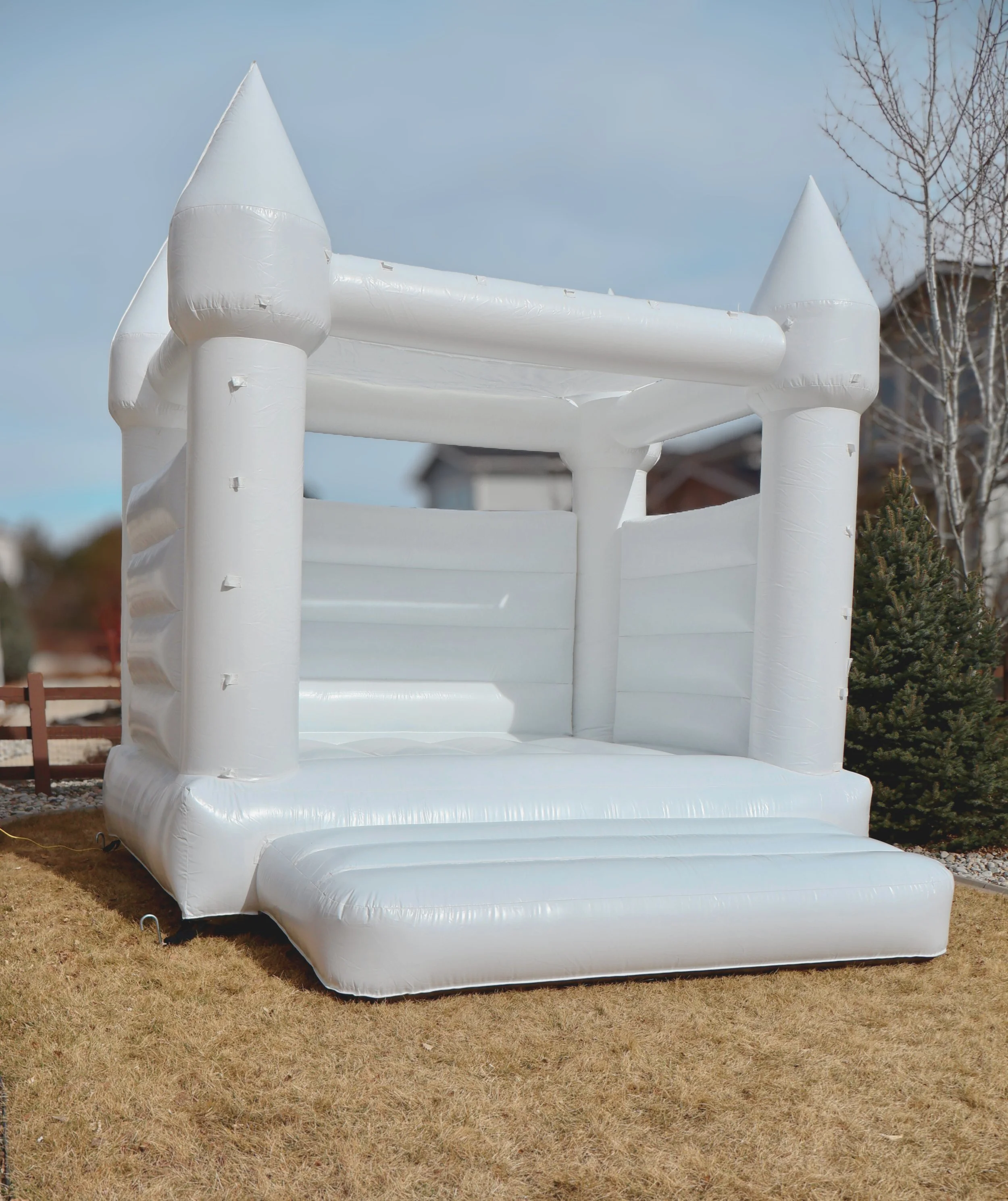 the classic stock.jpg