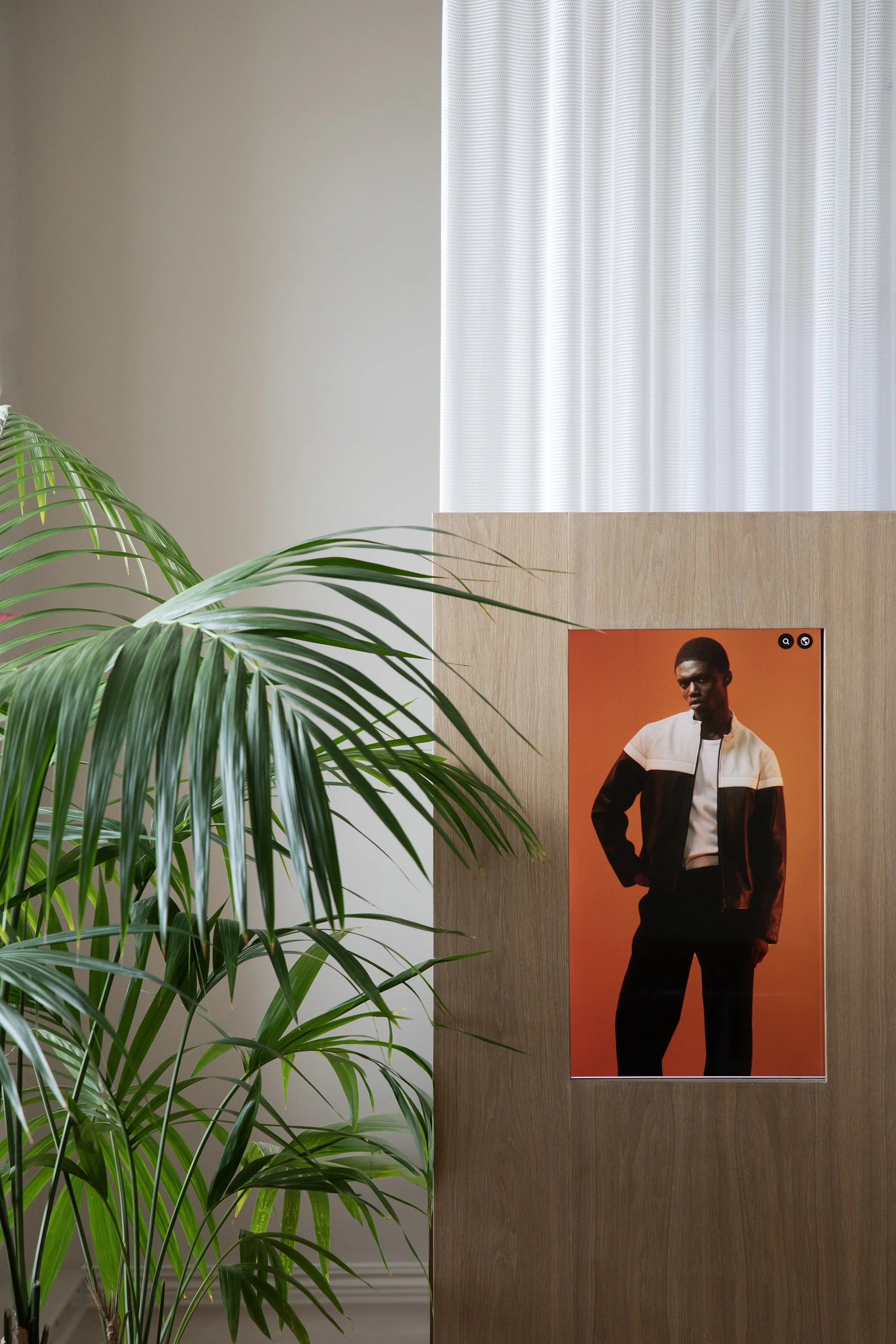 An indoor setting with a wooden panel featuring a photograph of a man wearing a black and white jacket against an orange background. Green plant leaves partially cover the left side of the panel, and a sheer white curtain is in the background.