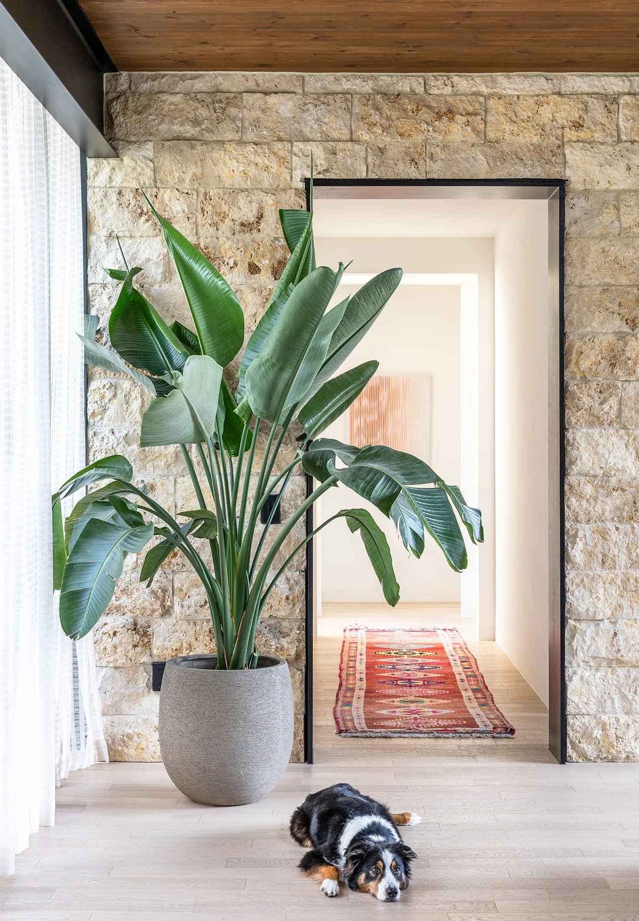 Christen-Ales-Interior-Design-Barton-Hills5.jpg