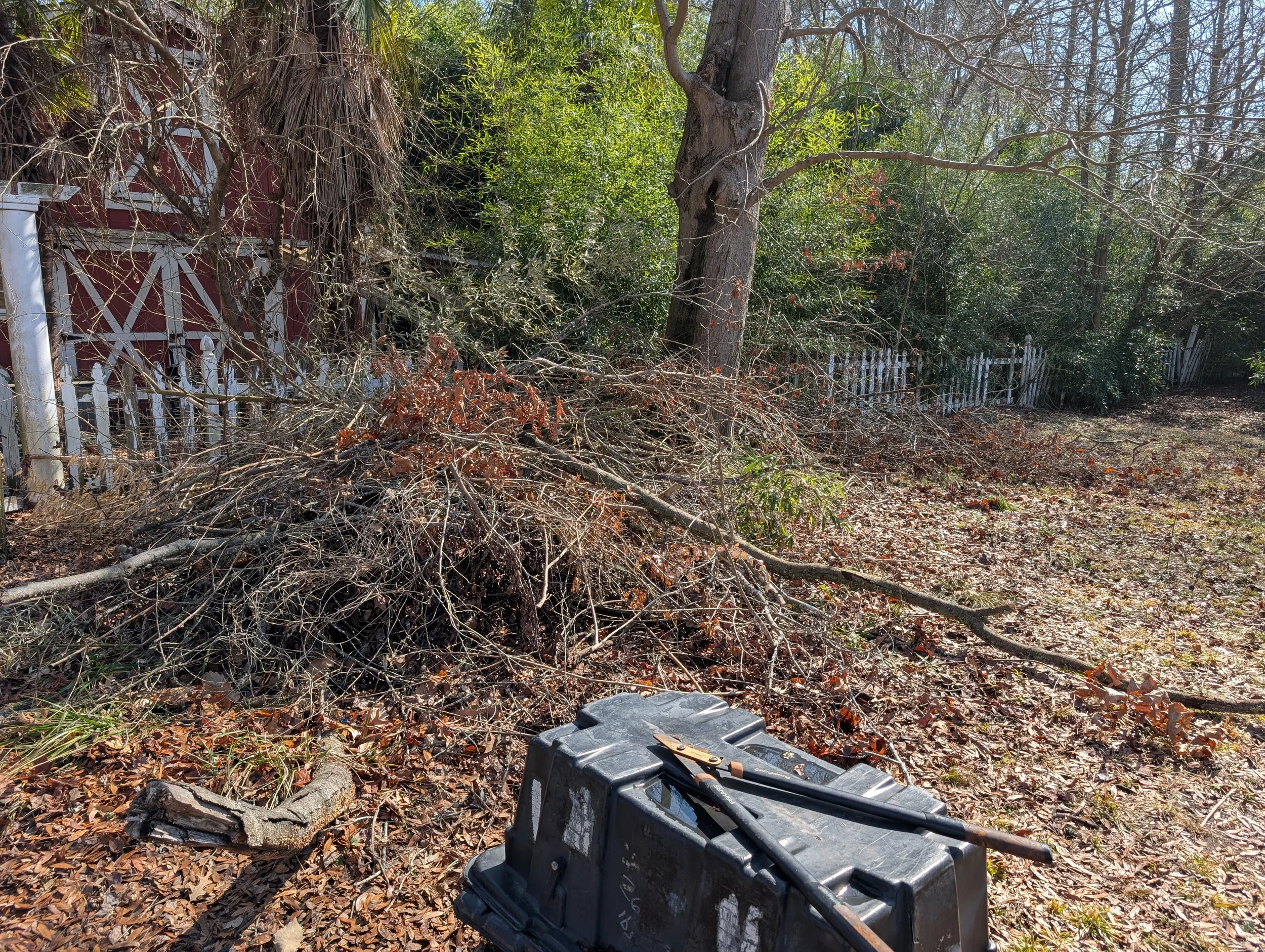 A backyard with fallen tree branches on the ground, a black toolbox with tools, and a white picket fence with trees and bushes behind it.