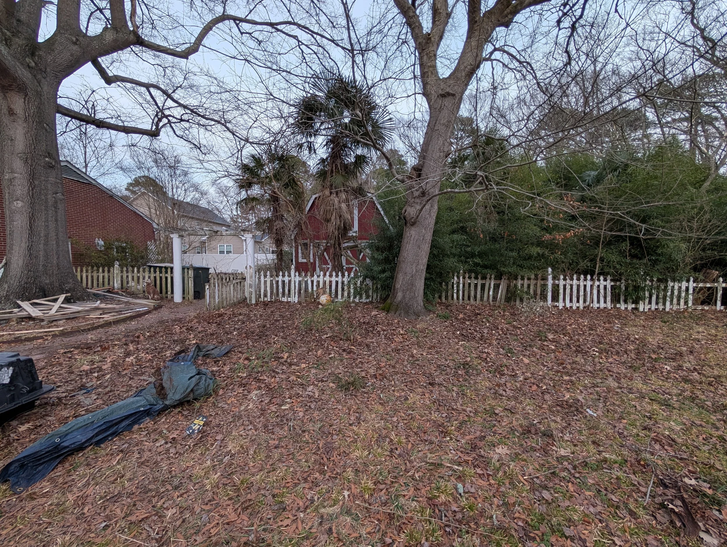 Backyard scene with large trees, fallen leaves, and a white picket fence surrounding the yard. There are some palm trees and a red barn in the background. Debris and black plastic are on the ground in the foreground.