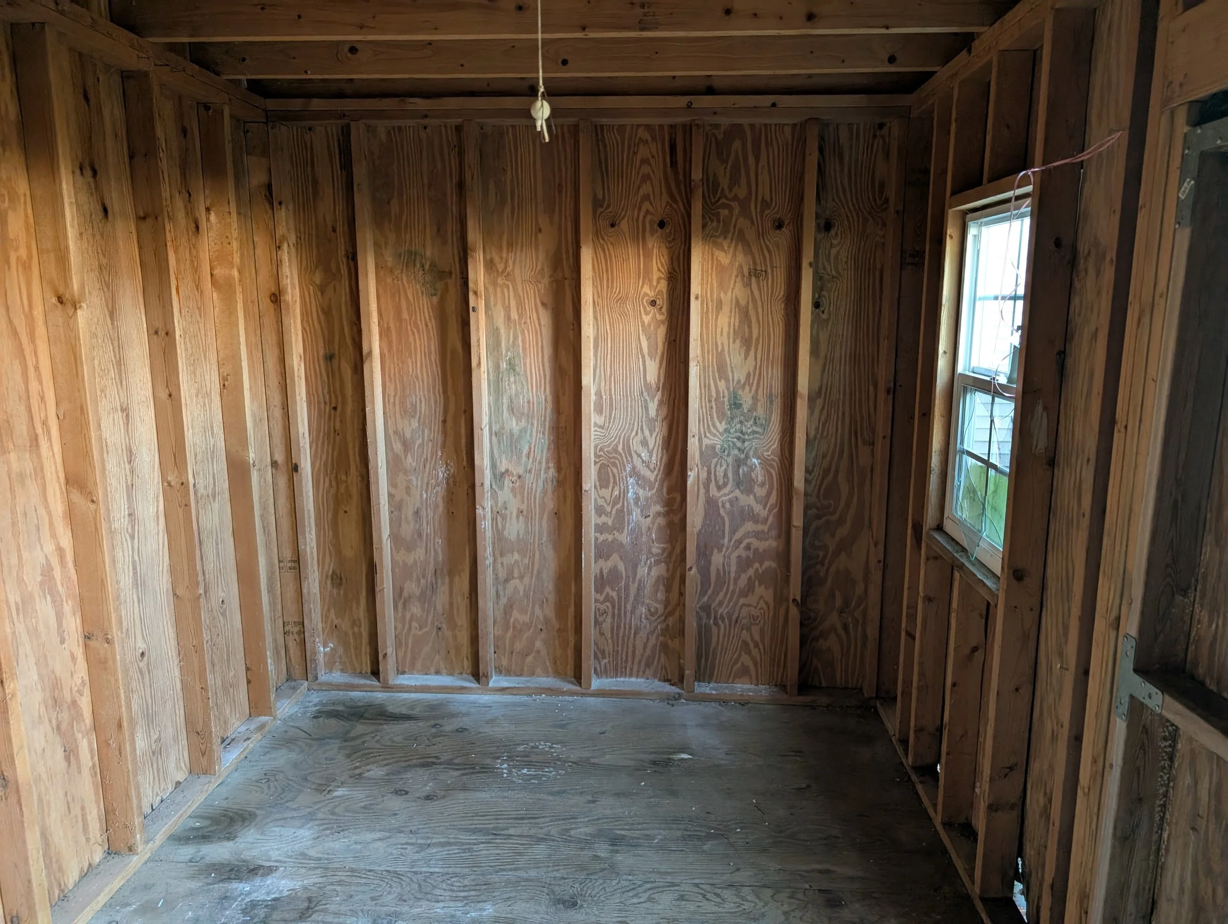 Inside Shed After 2.jpg