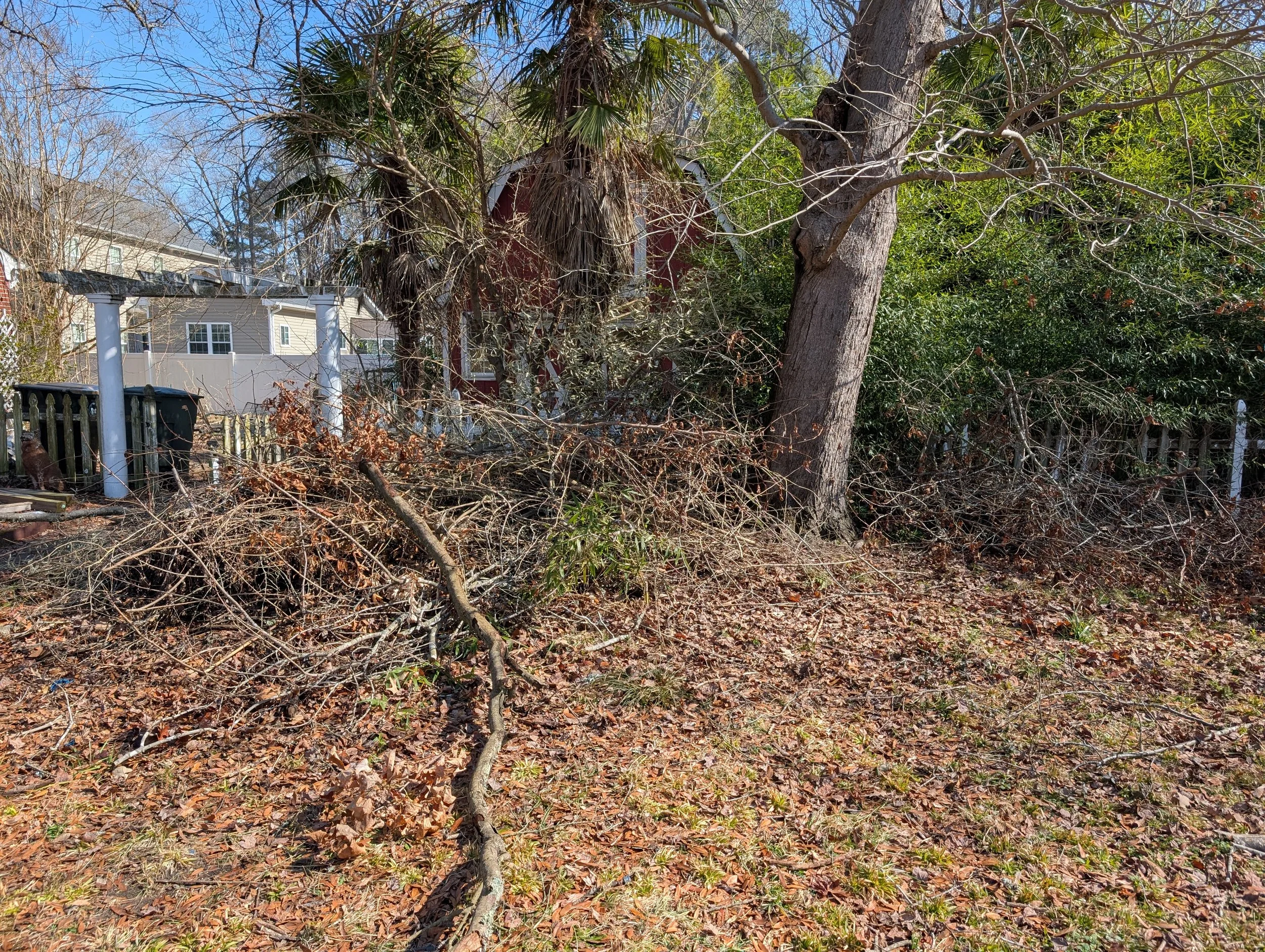 Yard with trees and a large pile of fallen branches and leaves, in front of a red house with white trim, on a clear day.