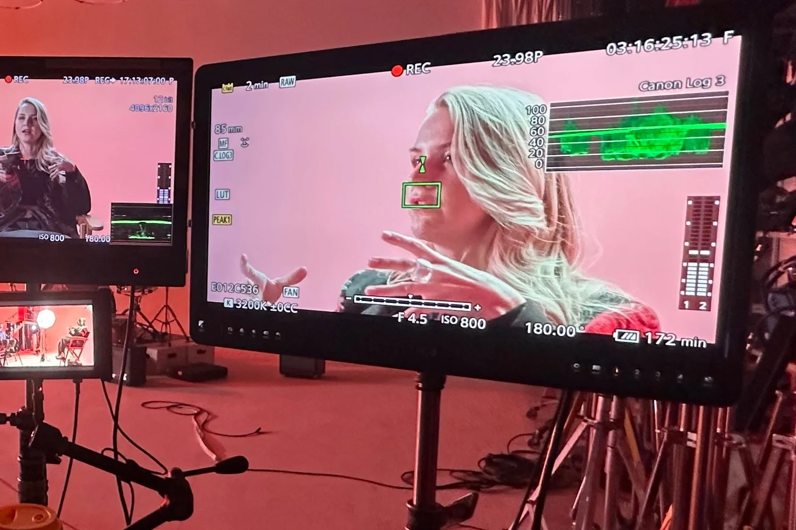 Flanders Scientific director's monitor available for rent at Sterling Studio, Toronto.