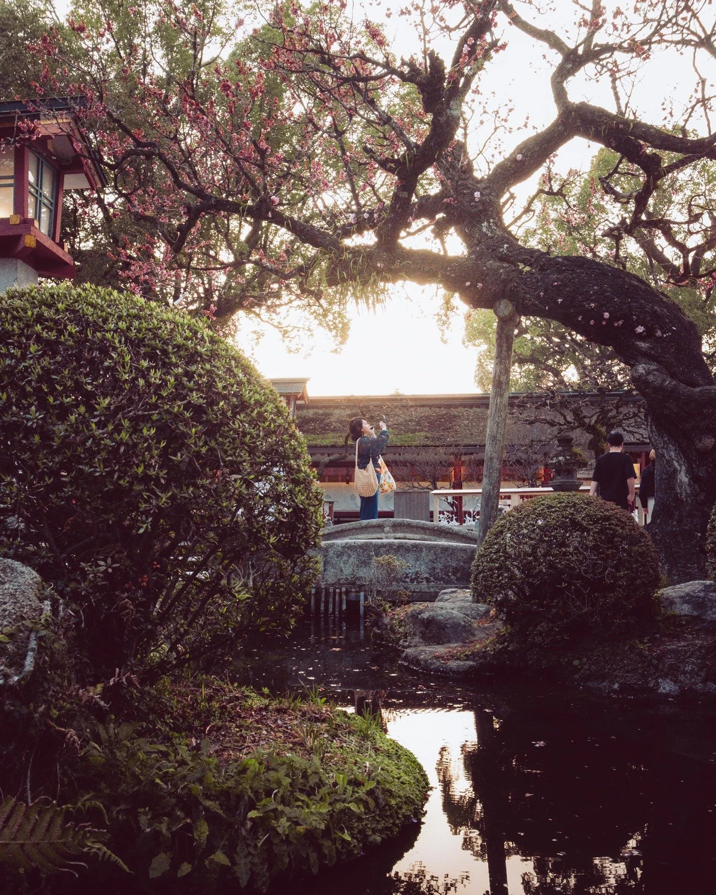 Many of the gems of Japan I visited last cherry blossom season. So many awesome places and yet so much more yet to be discovered. 

#japanadventure #photosofjapan 
#travellingtheworld