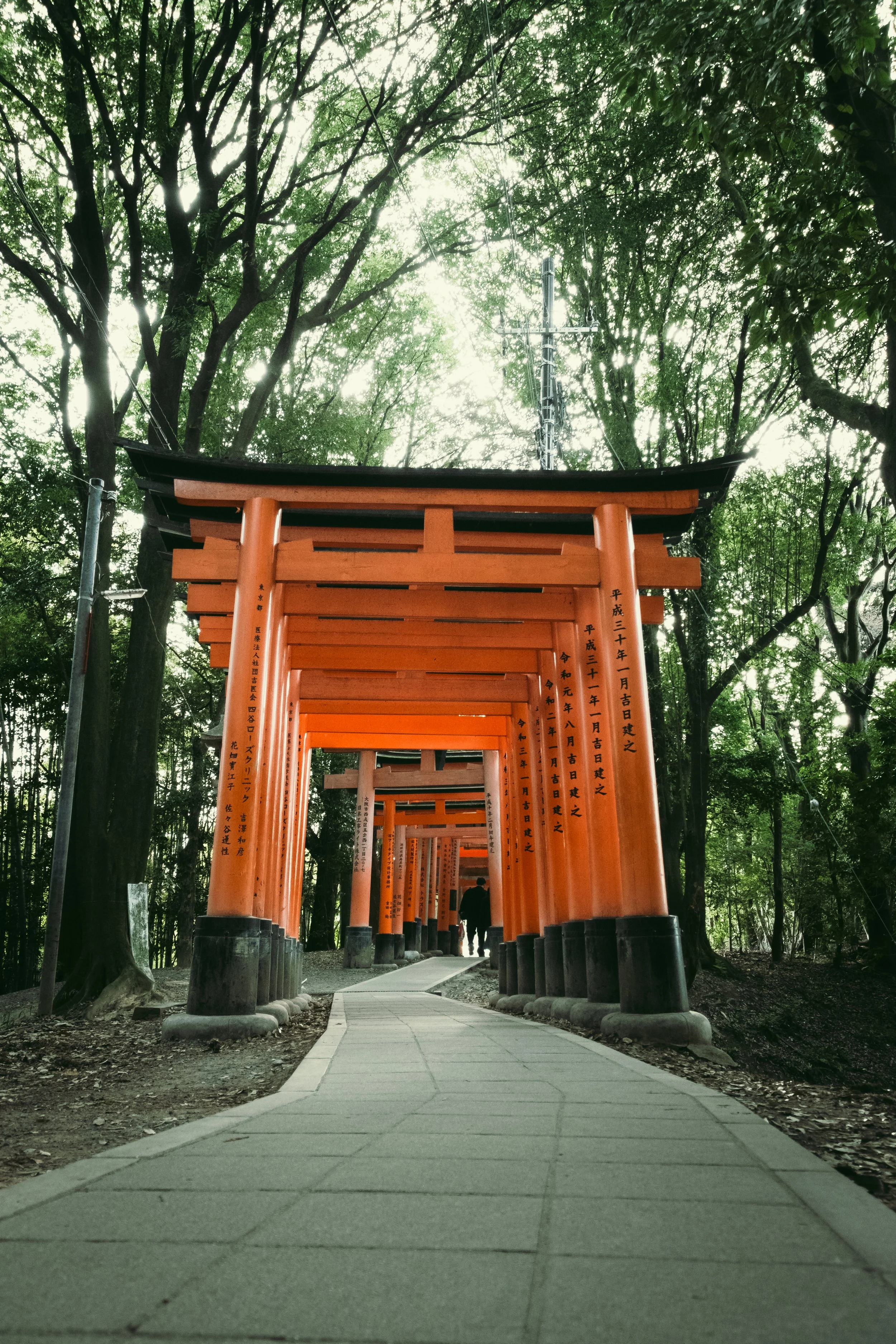 Series of orange torii gates lining a woodland pathway at Fushimi Inari Shrine in Japan.