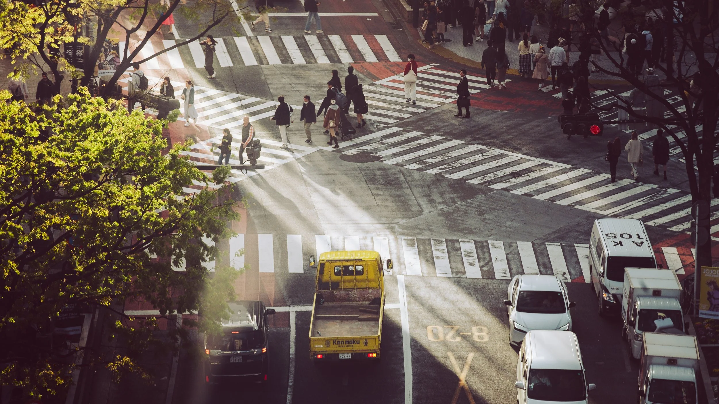 People crossing the street at Shibuya Crossing, with vehicles parked and moving along the road, and trees lining the sidewalk in an urban environment.