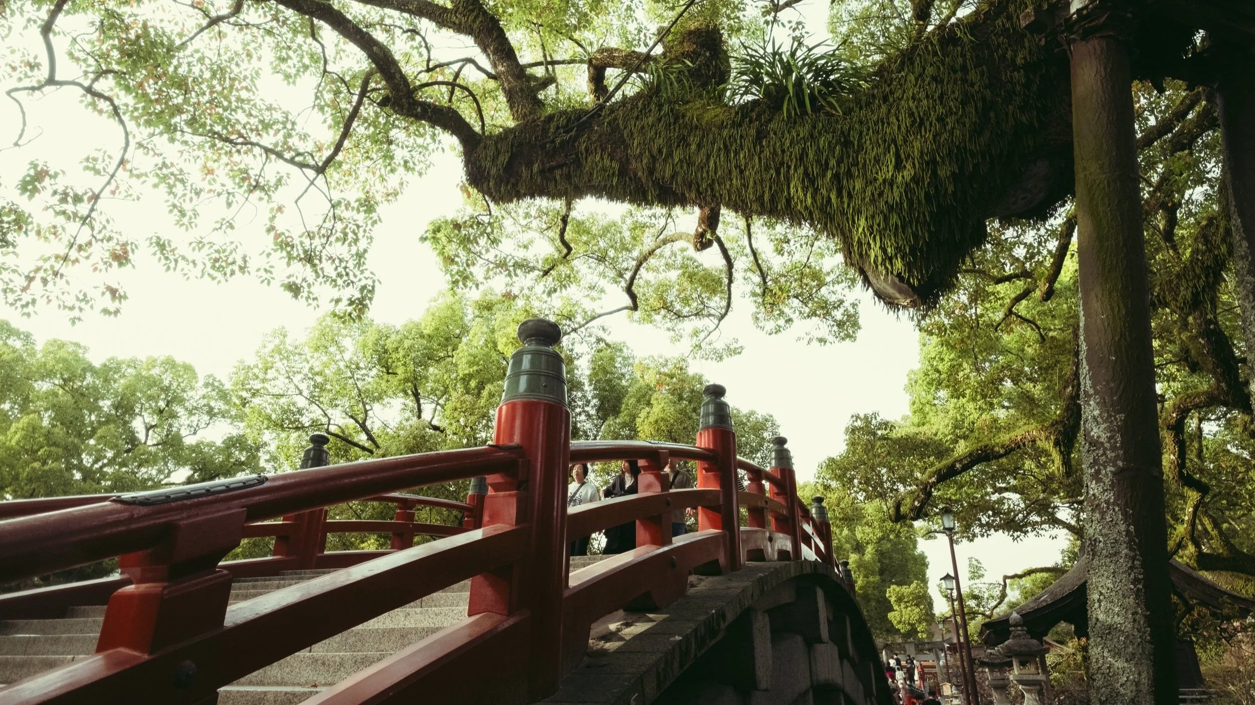 A traditional red wooden bridge with black posts is beneath large, moss-covered trees with green leaves. There are lanterns nearby in a serene, park-like setting. A fine bridge that connects the land of Dazaifu Tenmangu as one