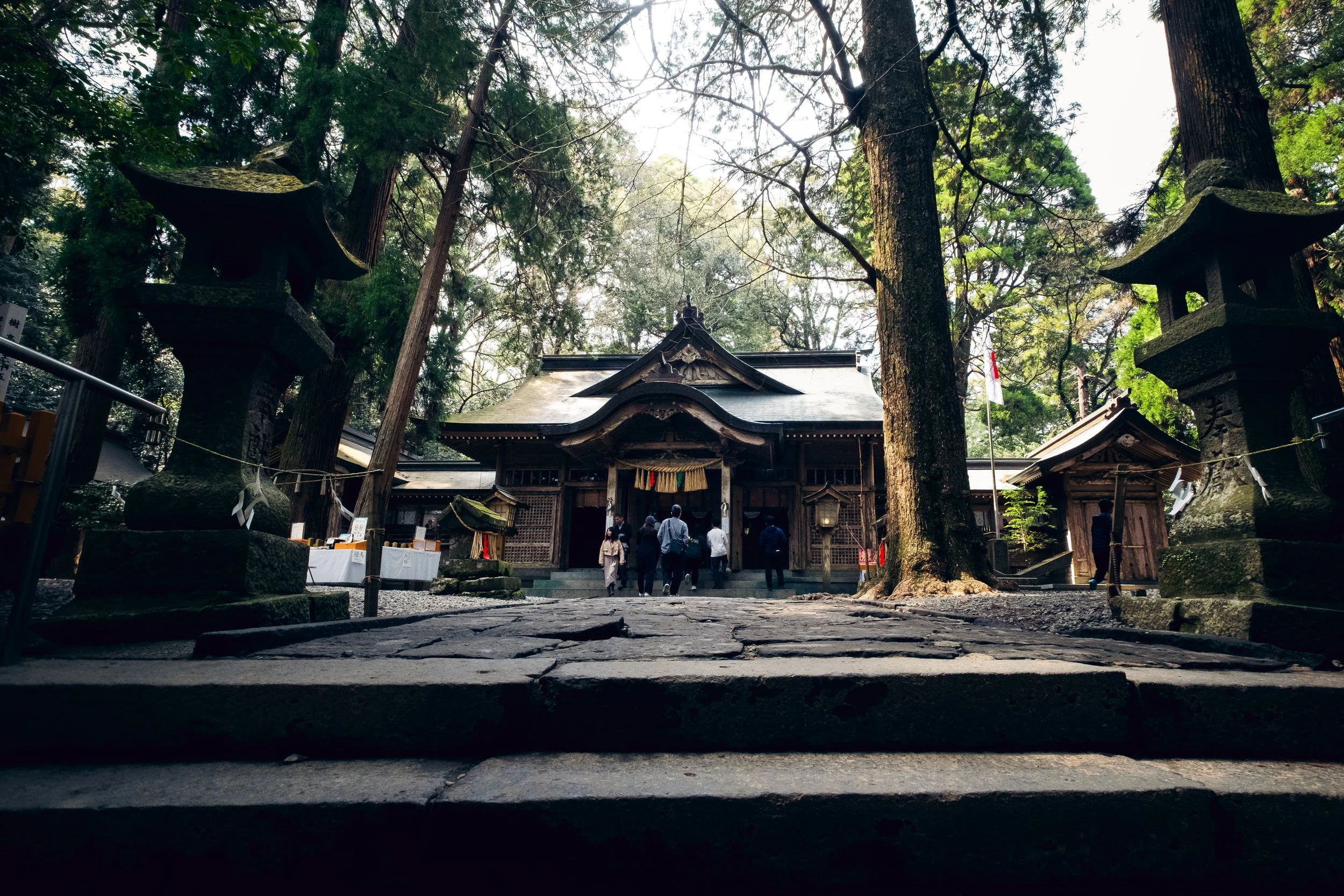 Traditional Japanese shrine surrounded by tall trees, with visitors walking westward.