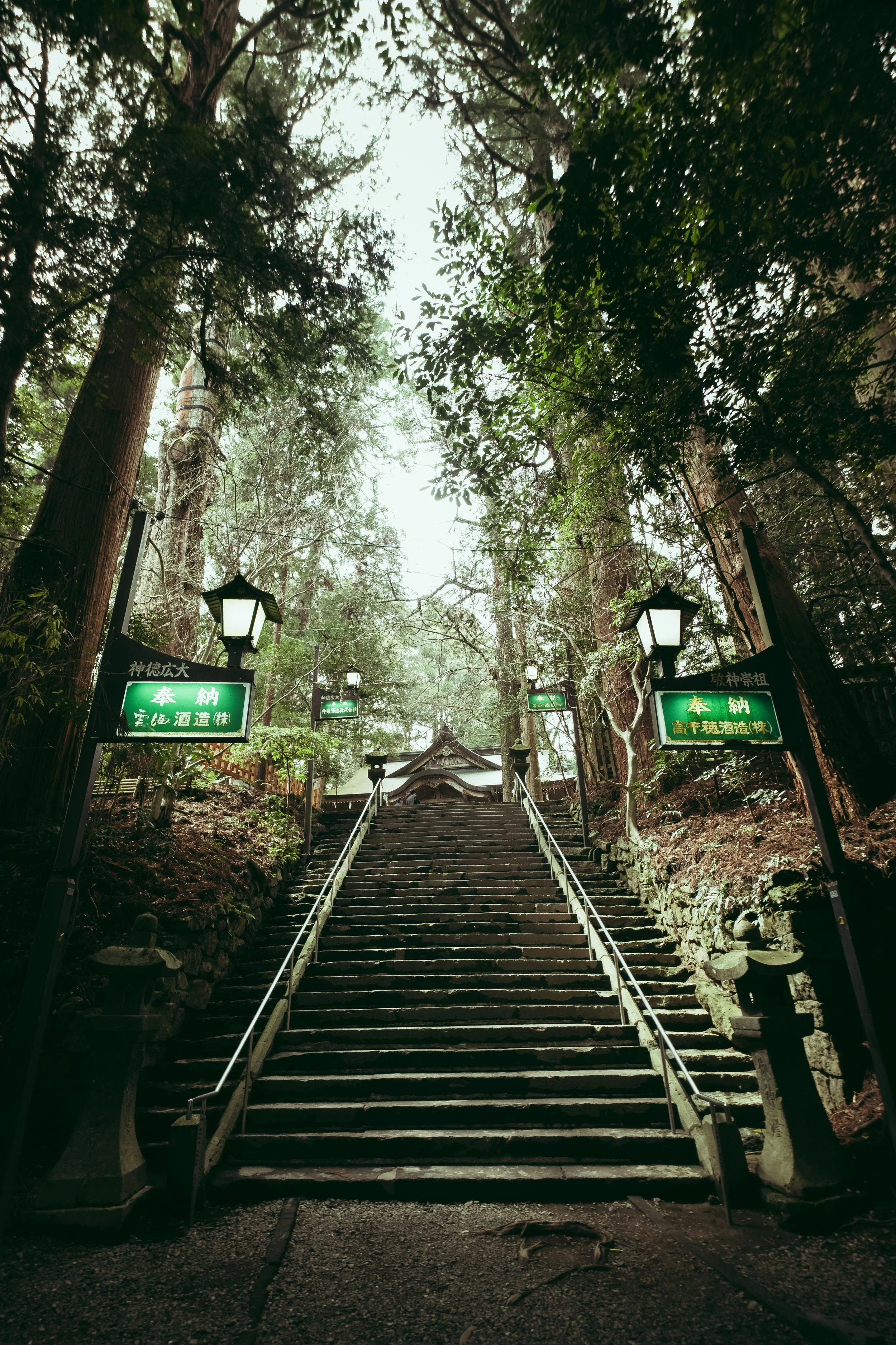 Stone steps leading up to a traditional wooden building surrounded by tall trees, with lantern-style lights along the sides of the stairs.